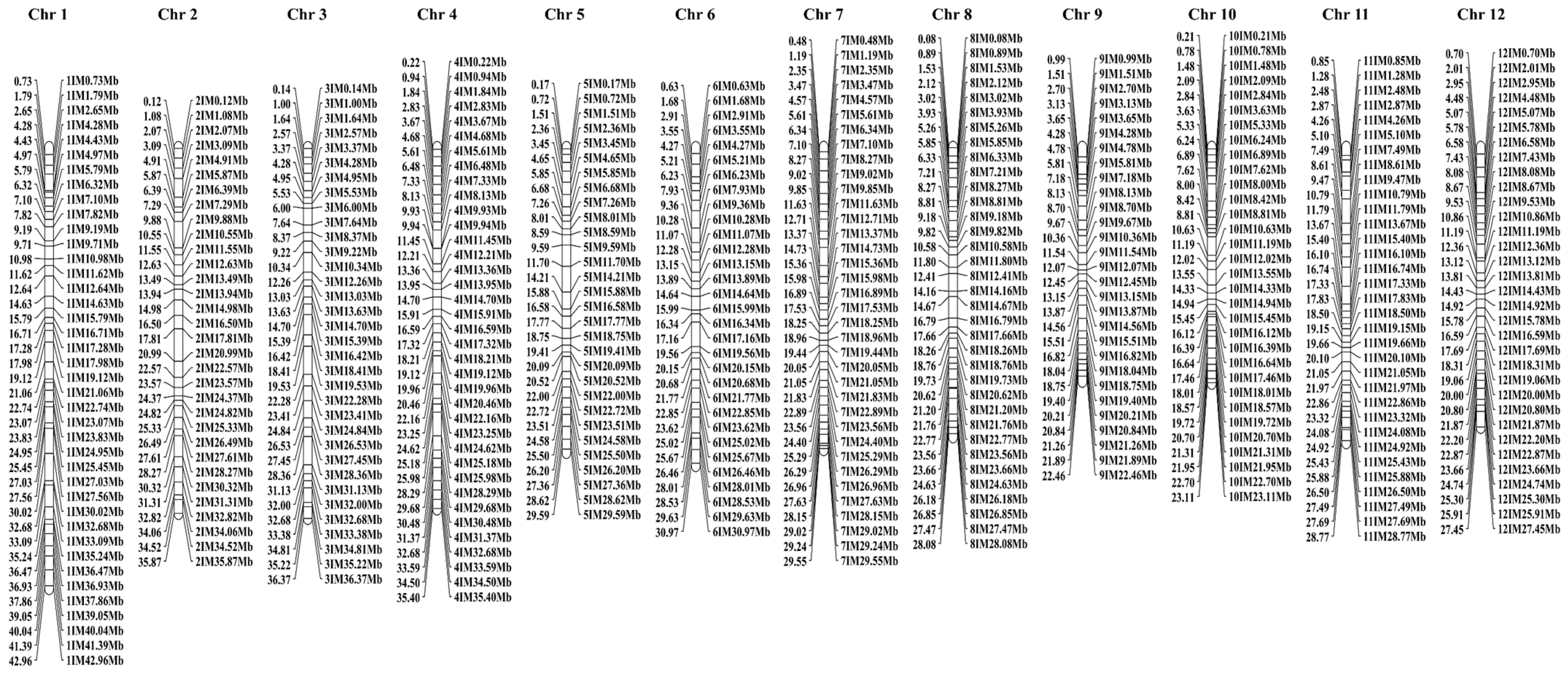 Agriculture 13 01573 g004 Agriculture 13 01573 g004