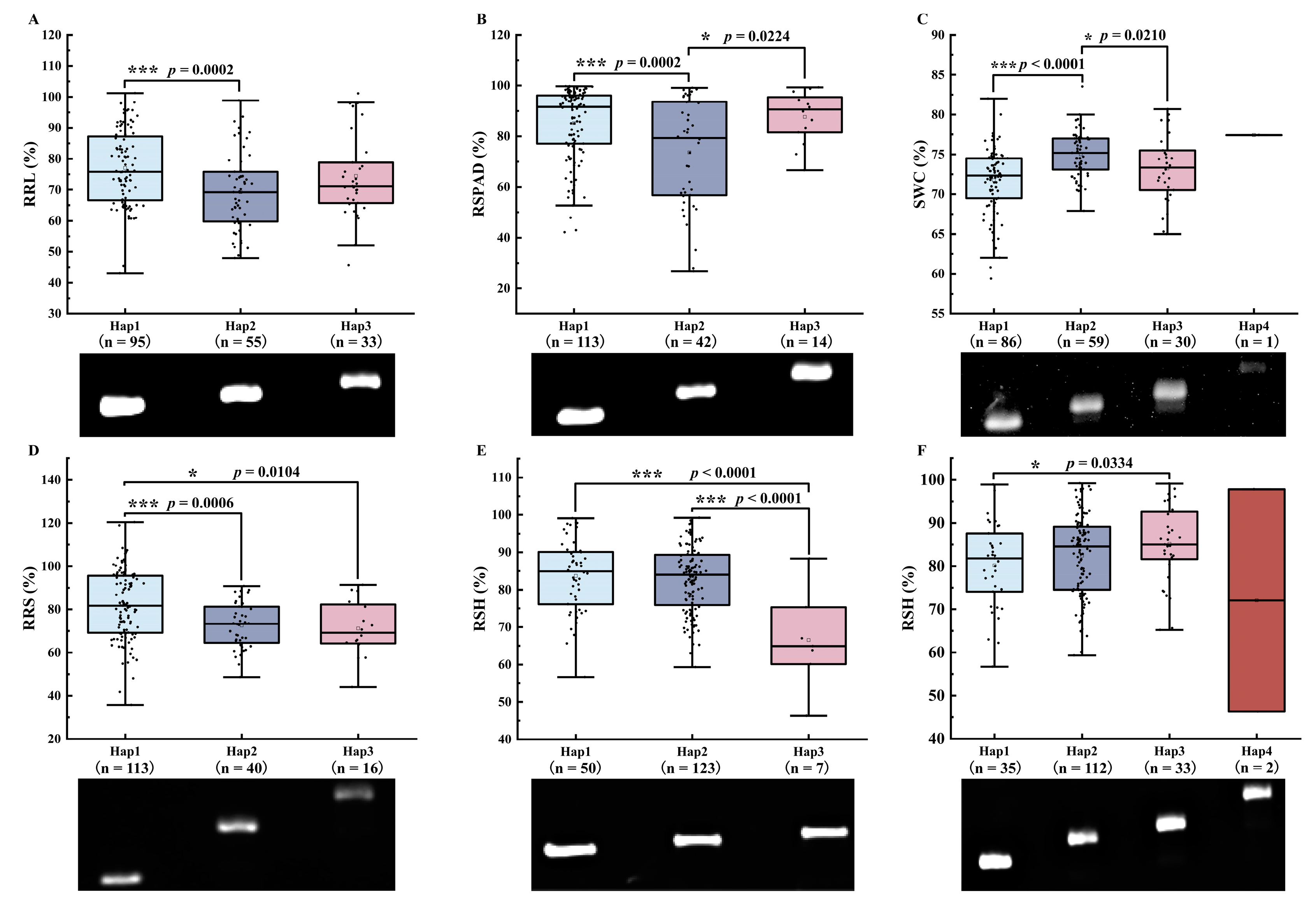 Agriculture 13 01573 g007 Agriculture 13 01573 g007