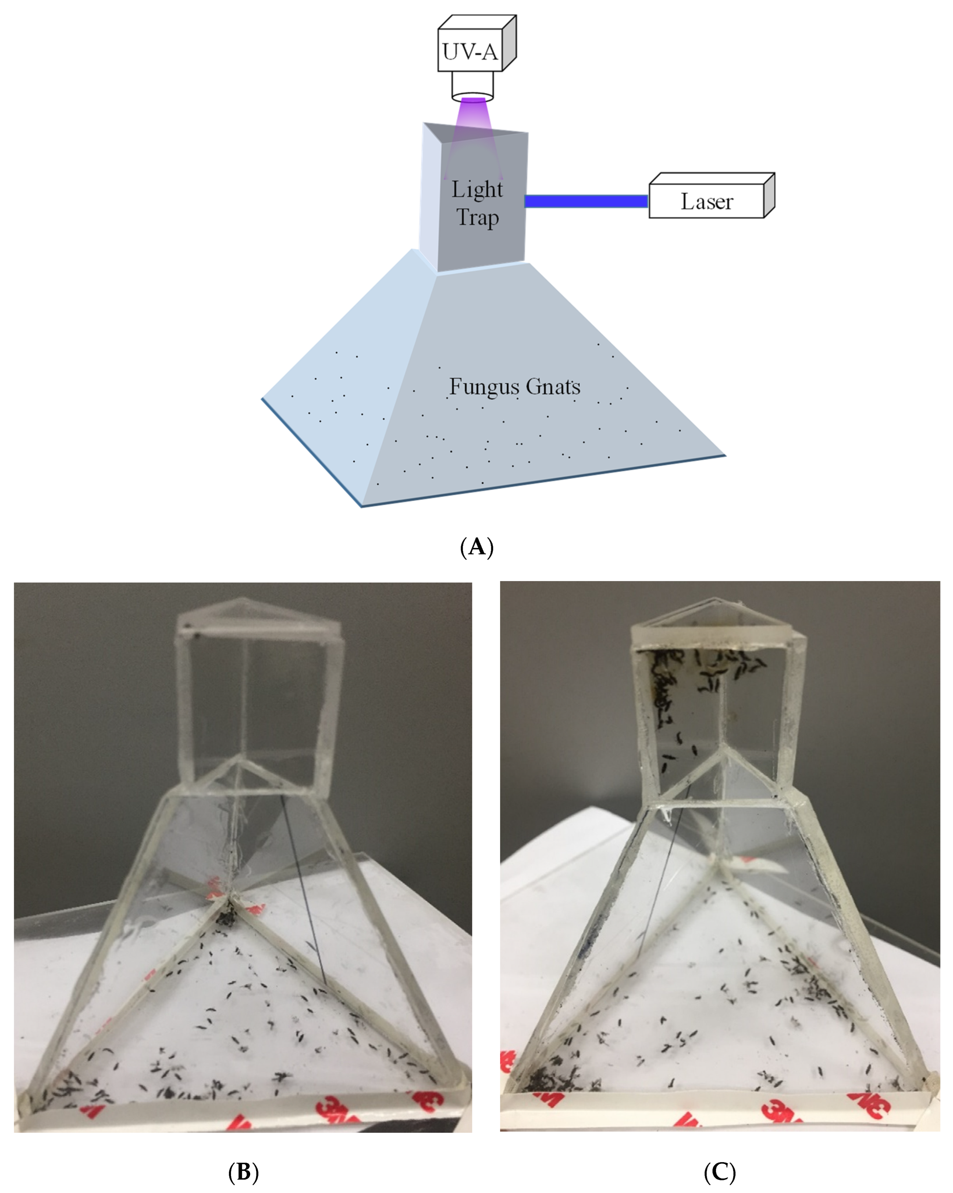 Agriculture 13 01574 g004 Agriculture 13 01574 g004