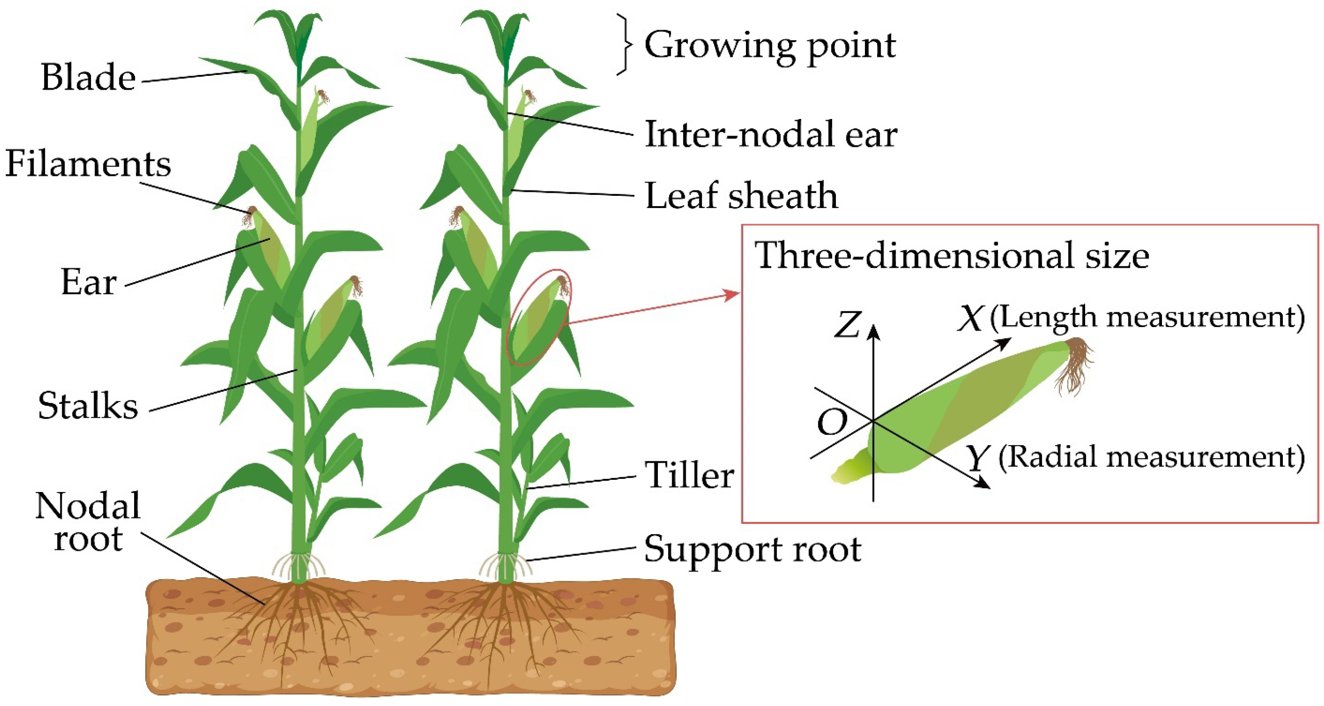 Agriculture 13 01585 g003