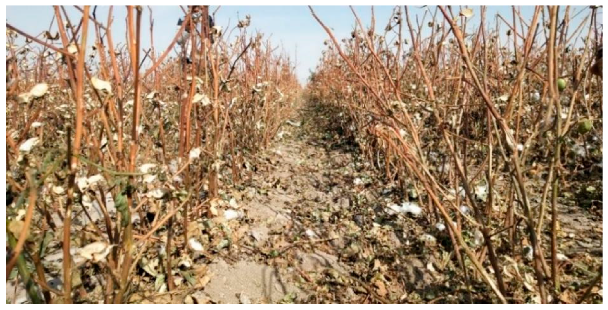 Agriculture 13 01591 g016