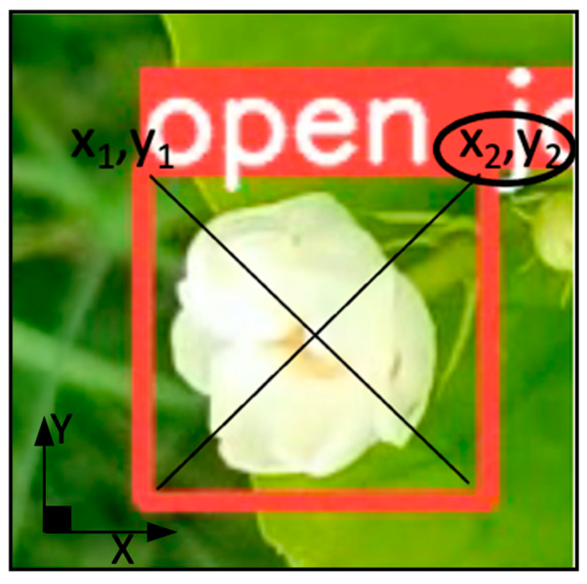 Agriculture 13 01595 g012