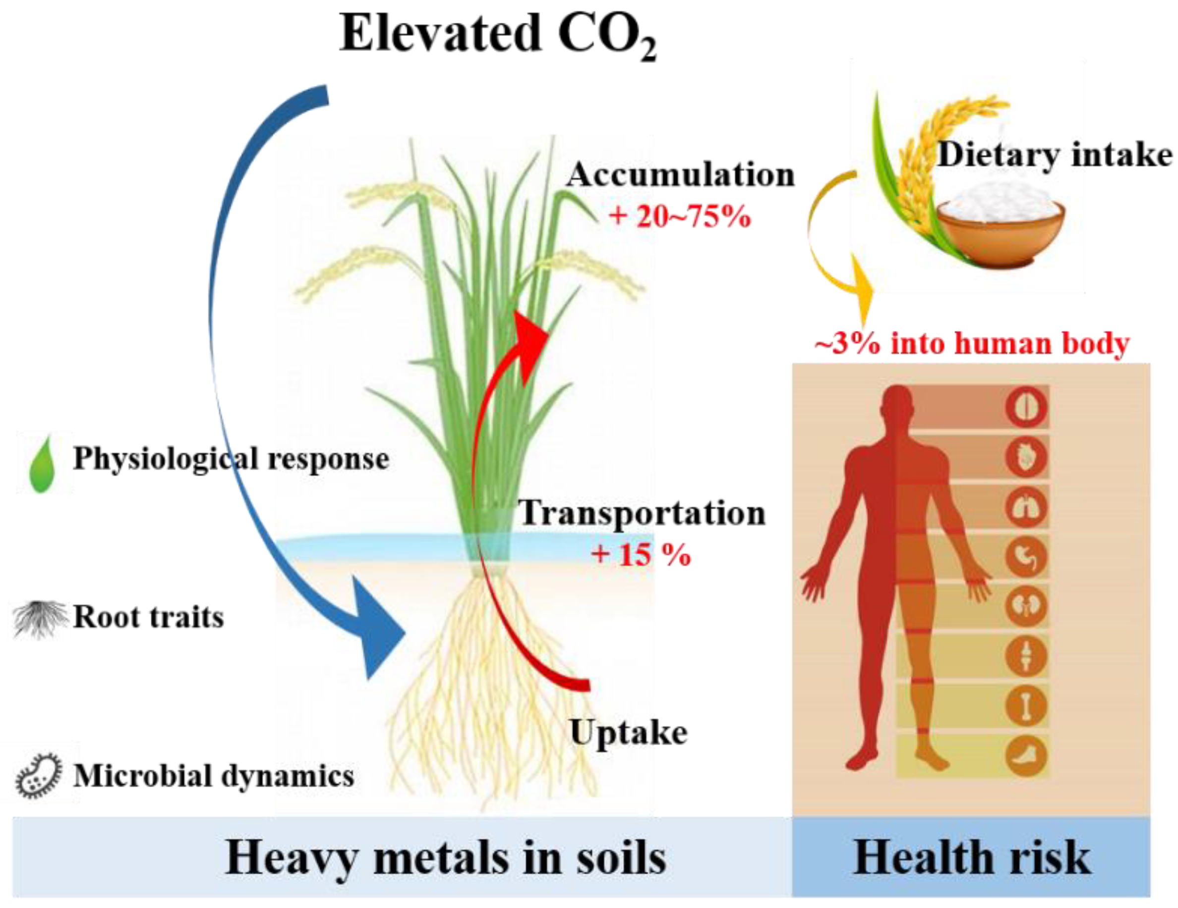Agriculture 13 01607 g001 Agriculture 13 01607 g001