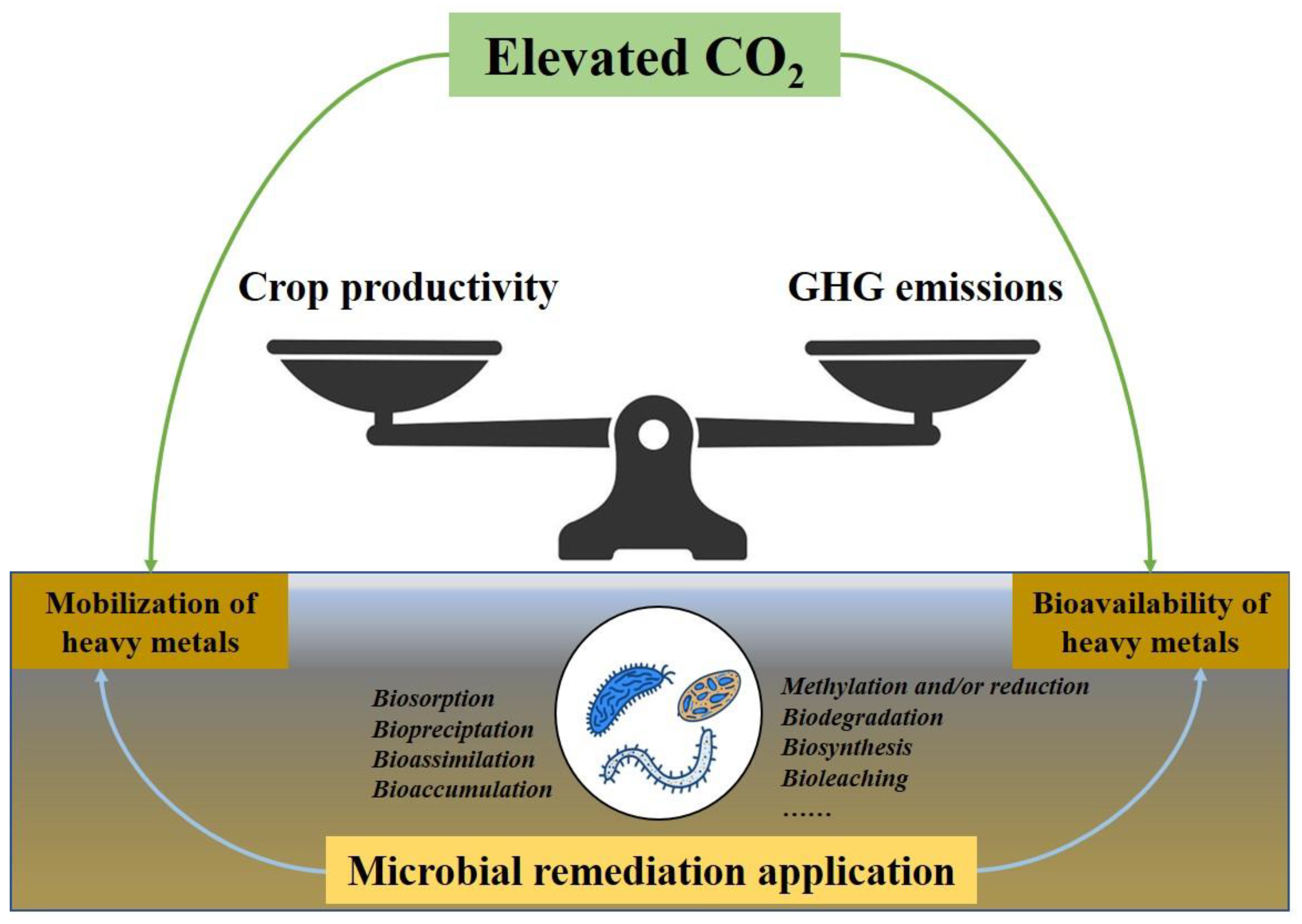 Agriculture 13 01607 g002 Agriculture 13 01607 g002