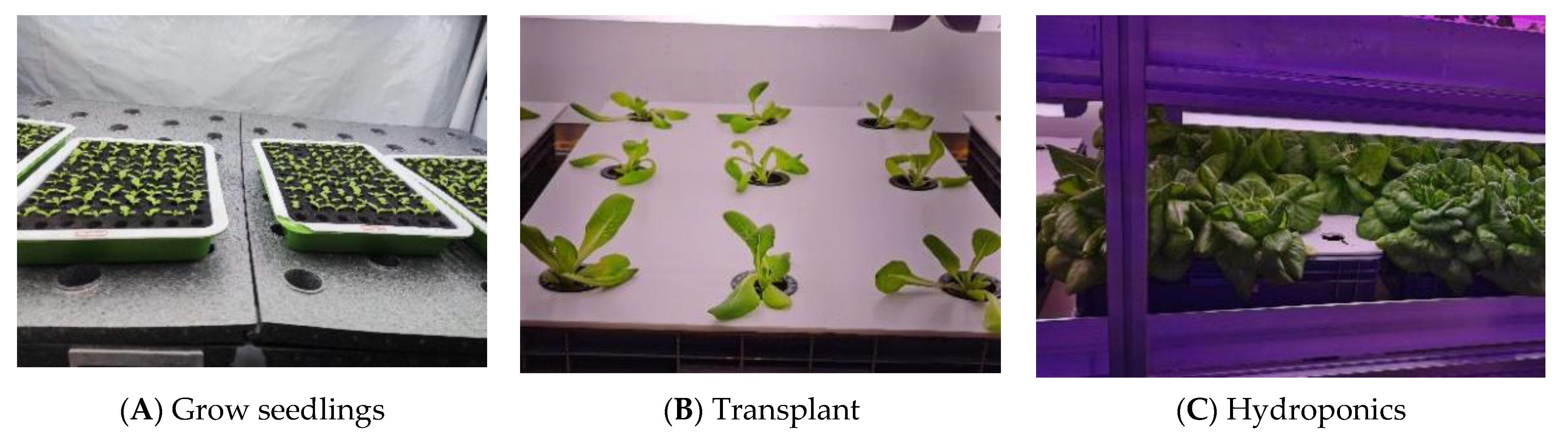 Agriculture 13 01614 g001 Agriculture 13 01614 g001