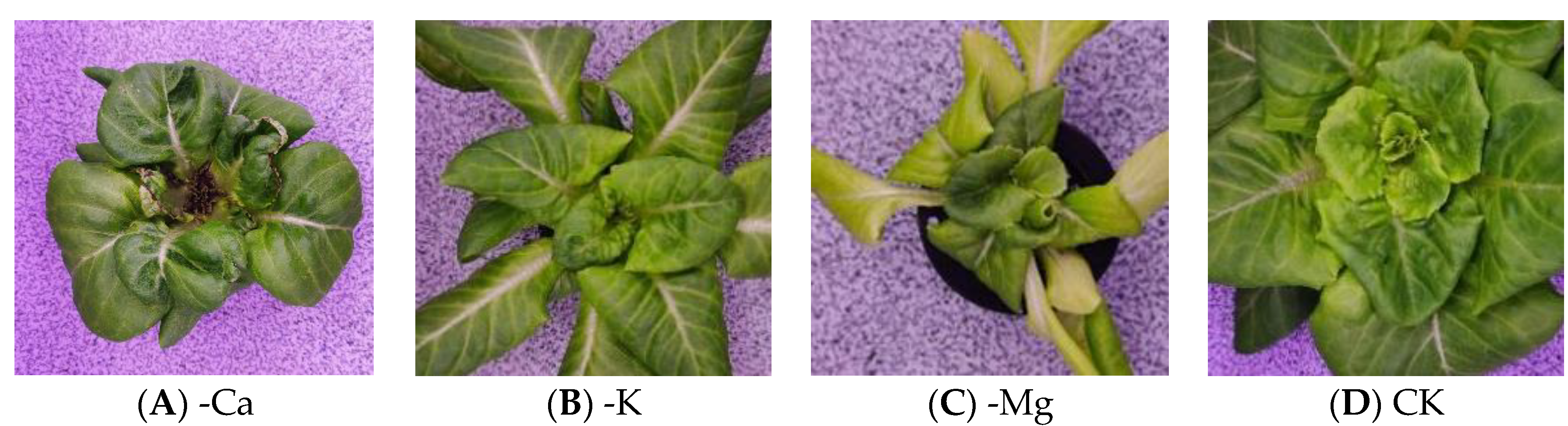 Agriculture 13 01614 g003 Agriculture 13 01614 g003