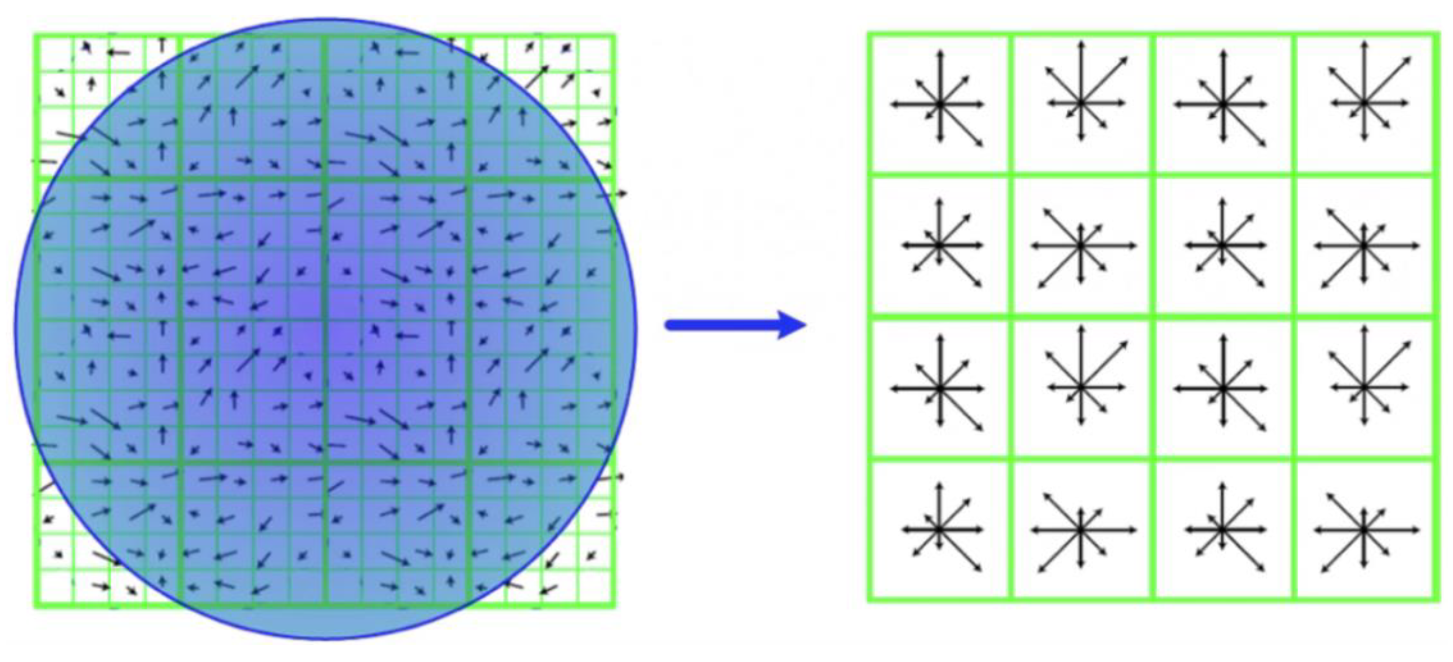 Agriculture 13 01614 g007 Agriculture 13 01614 g007