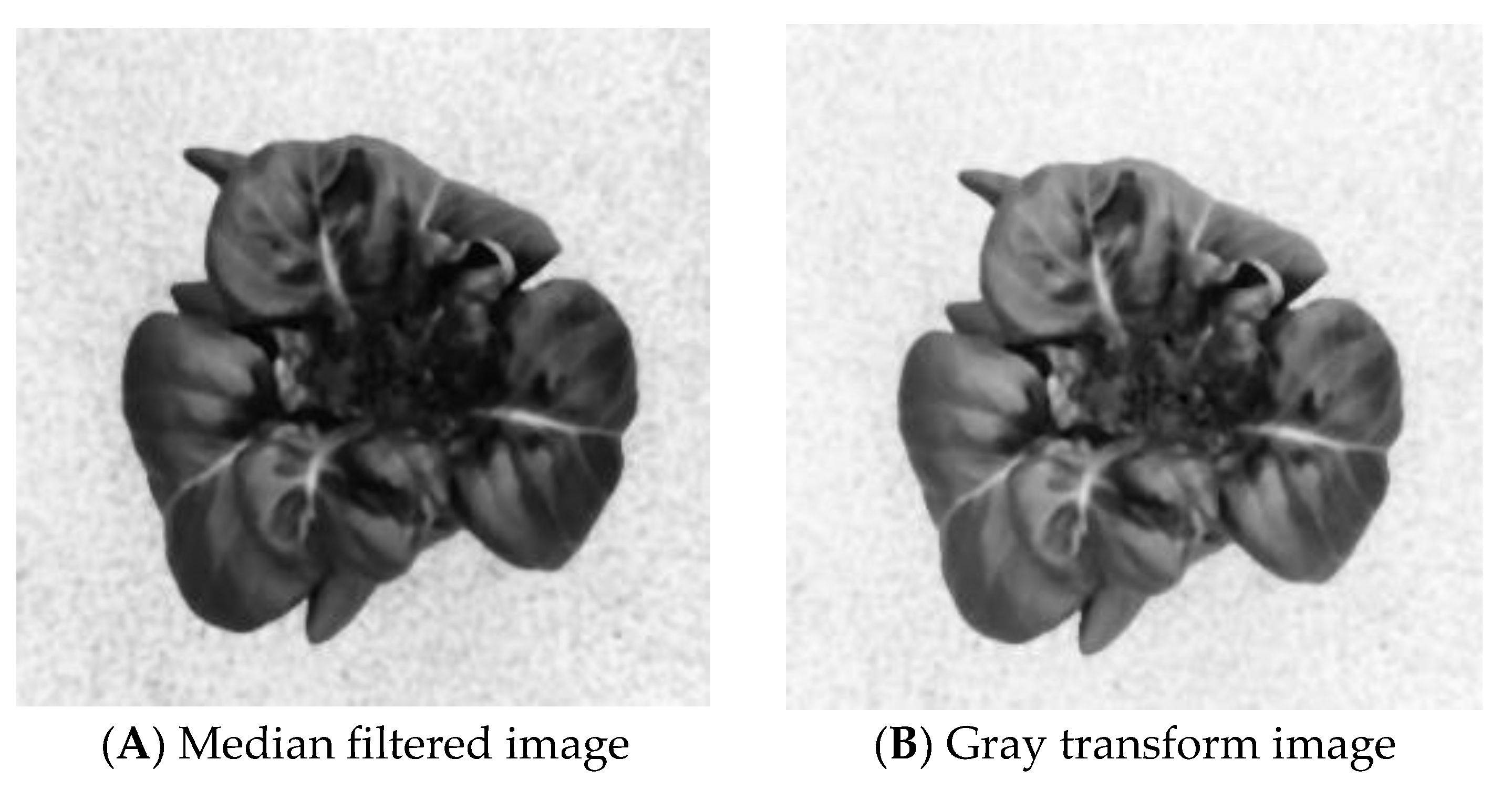 Agriculture 13 01614 g013 Agriculture 13 01614 g013