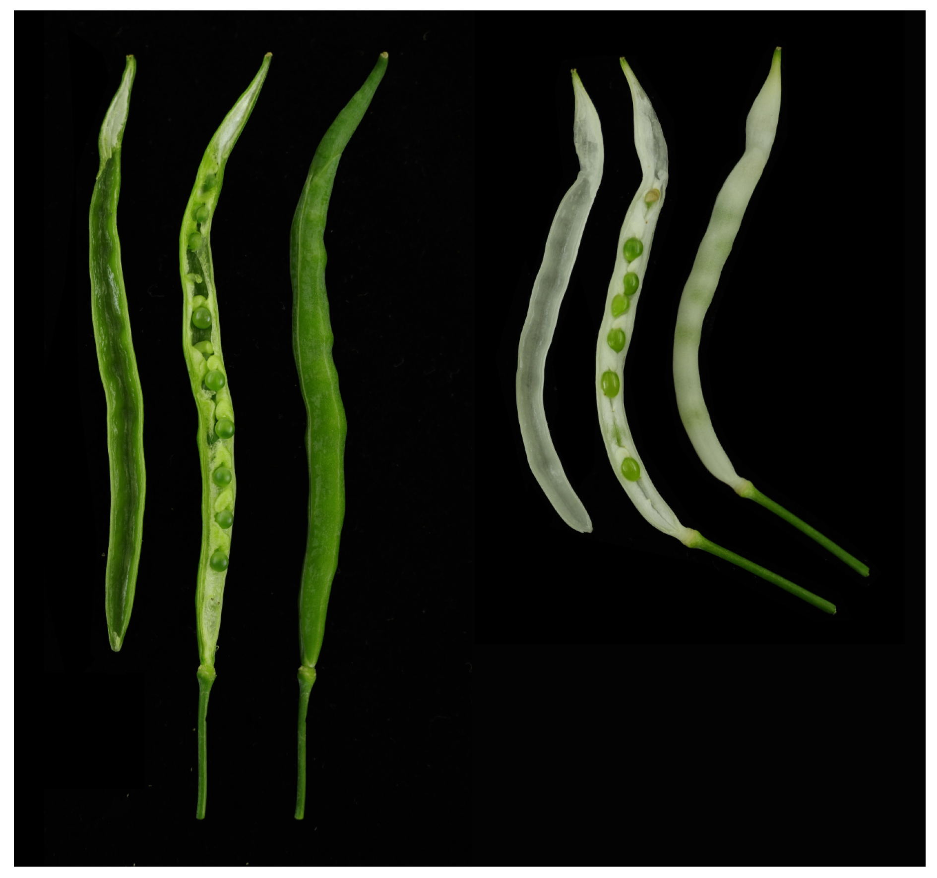 Agriculture 13 01615 g001