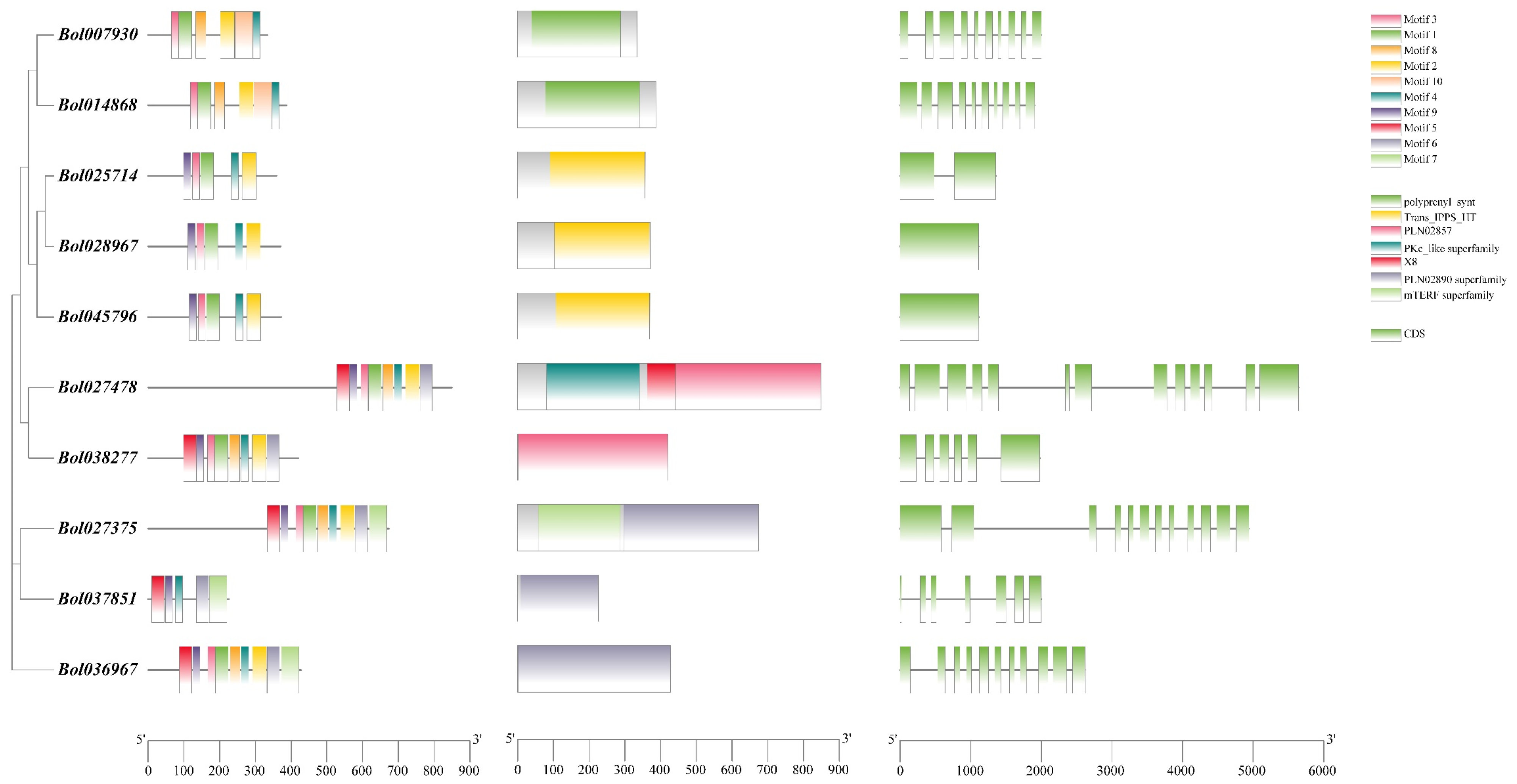 Agriculture 13 01615 g005