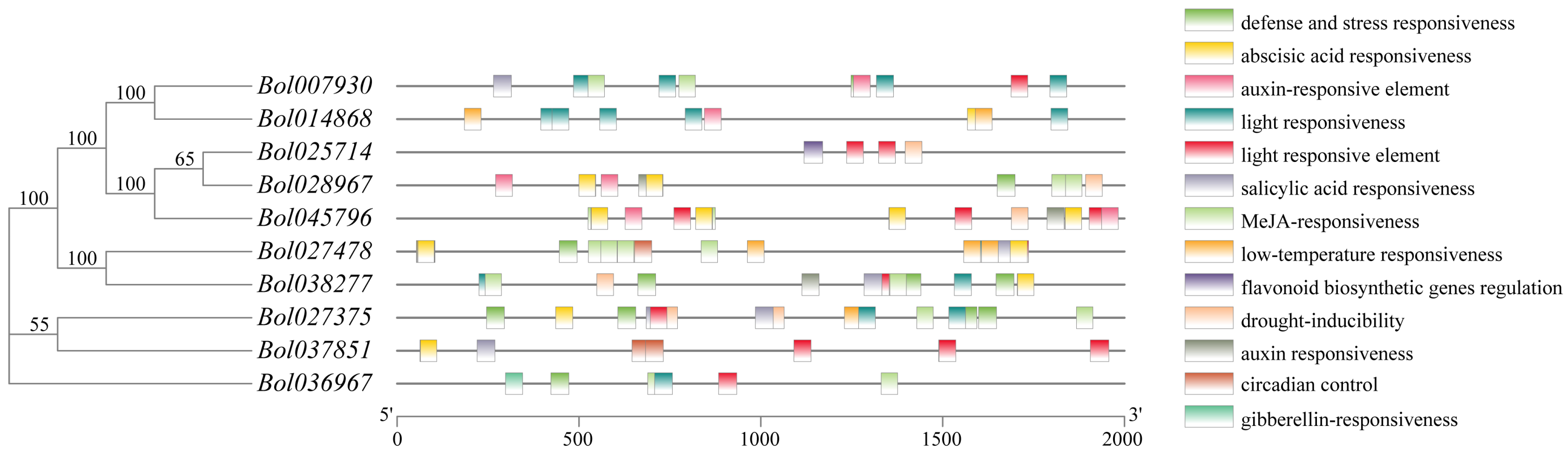 Agriculture 13 01615 g006