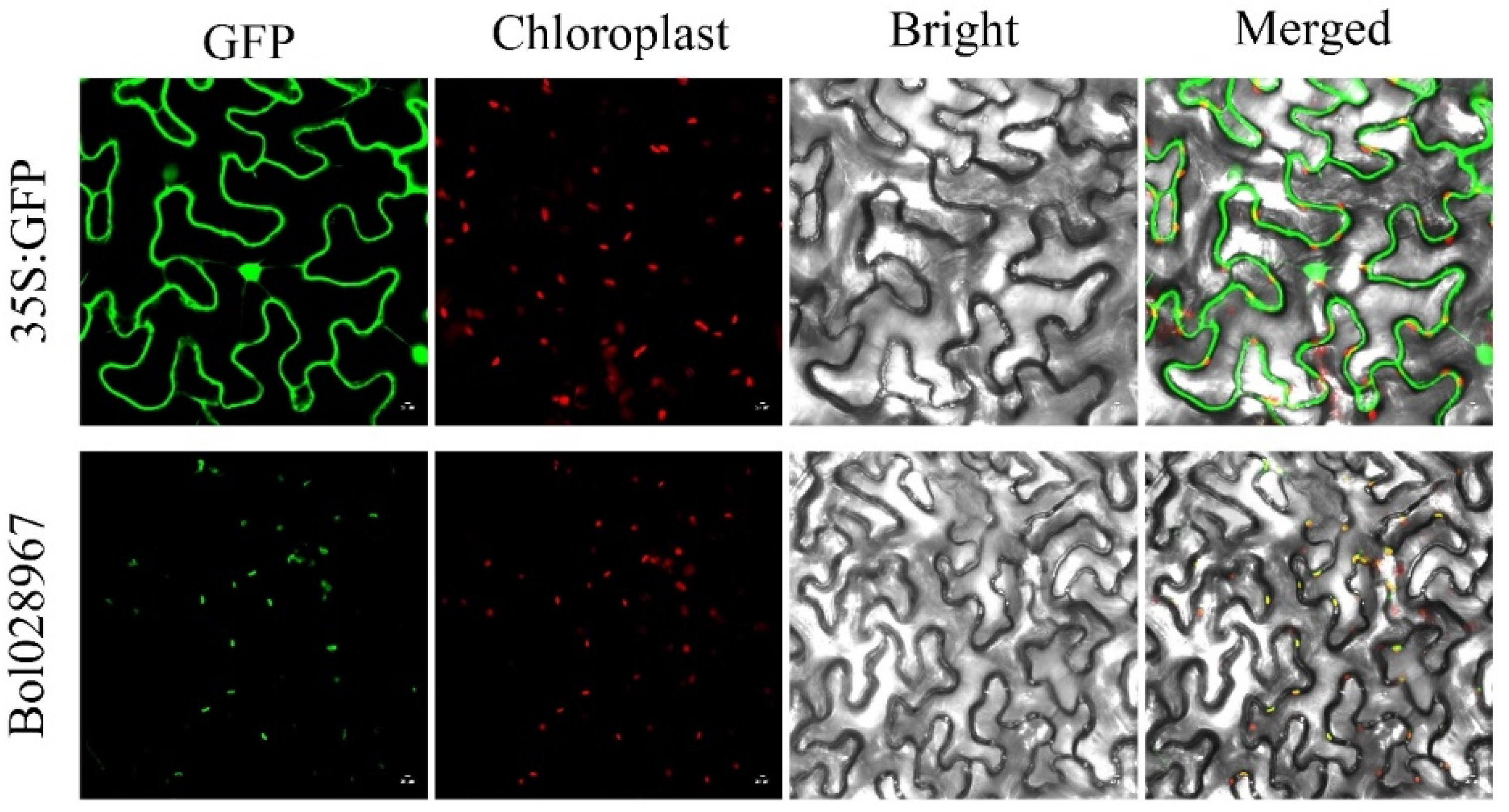 Agriculture 13 01615 g010