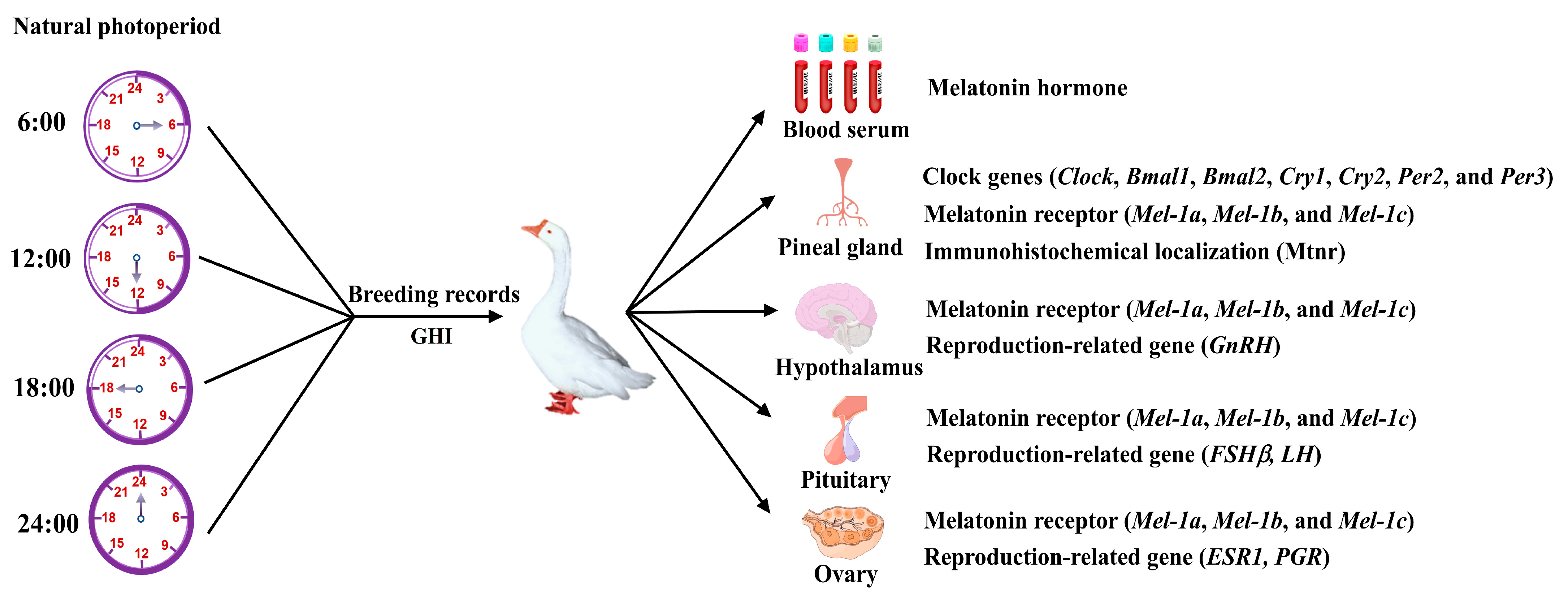 Agriculture 13 01620 g001 Agriculture 13 01620 g001