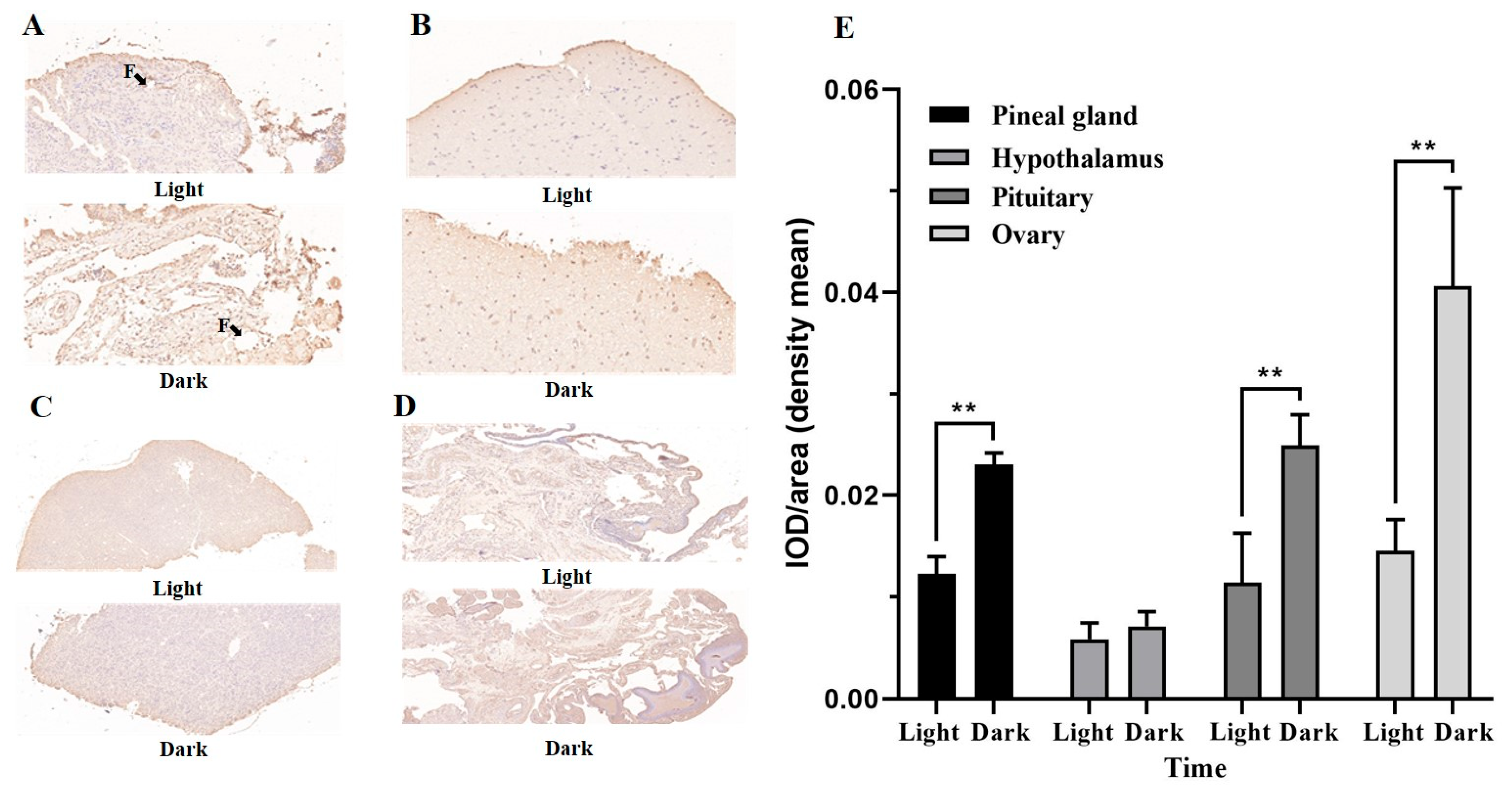 Agriculture 13 01620 g004 Agriculture 13 01620 g004