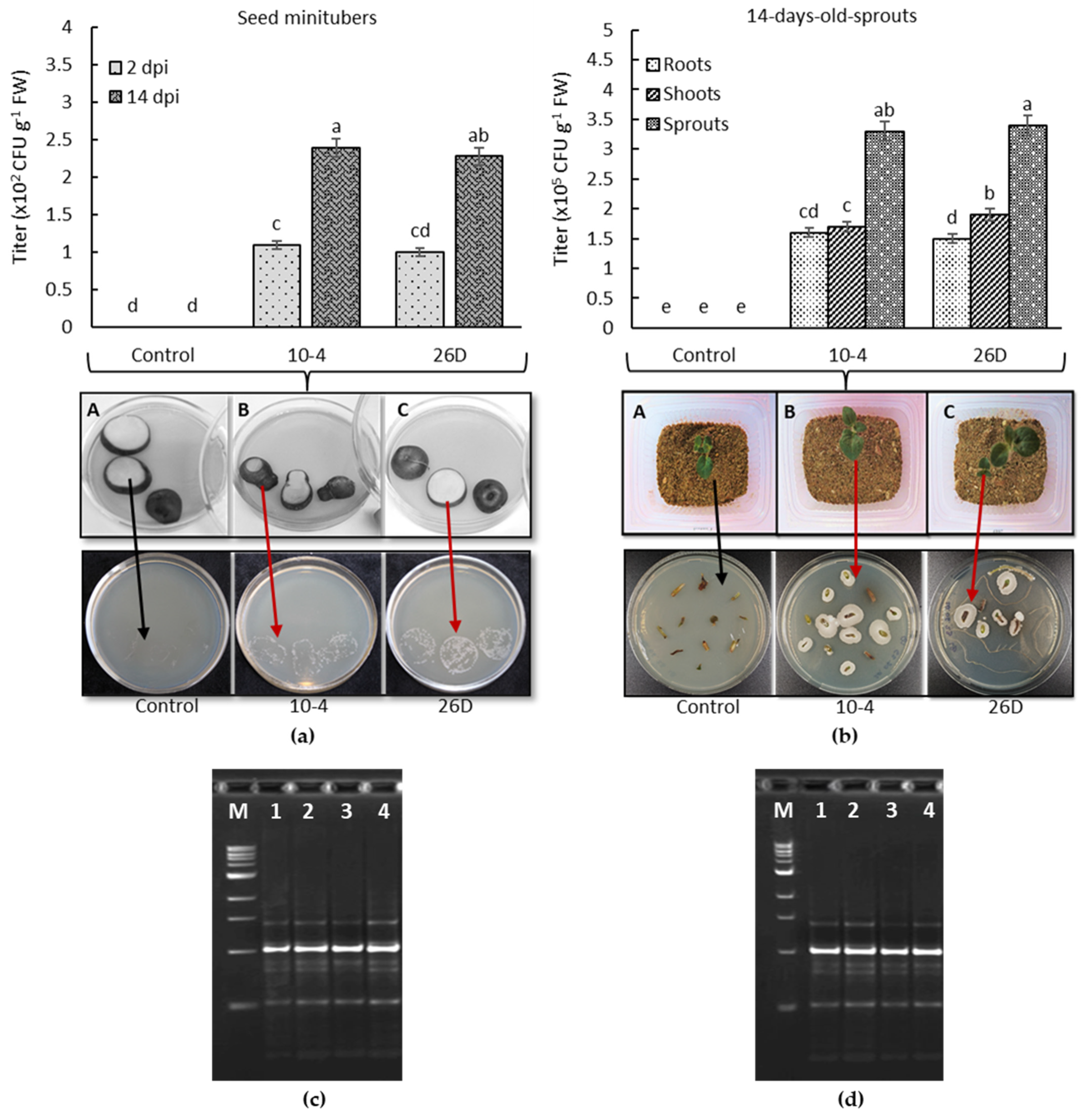 Agriculture 13 01626 g001