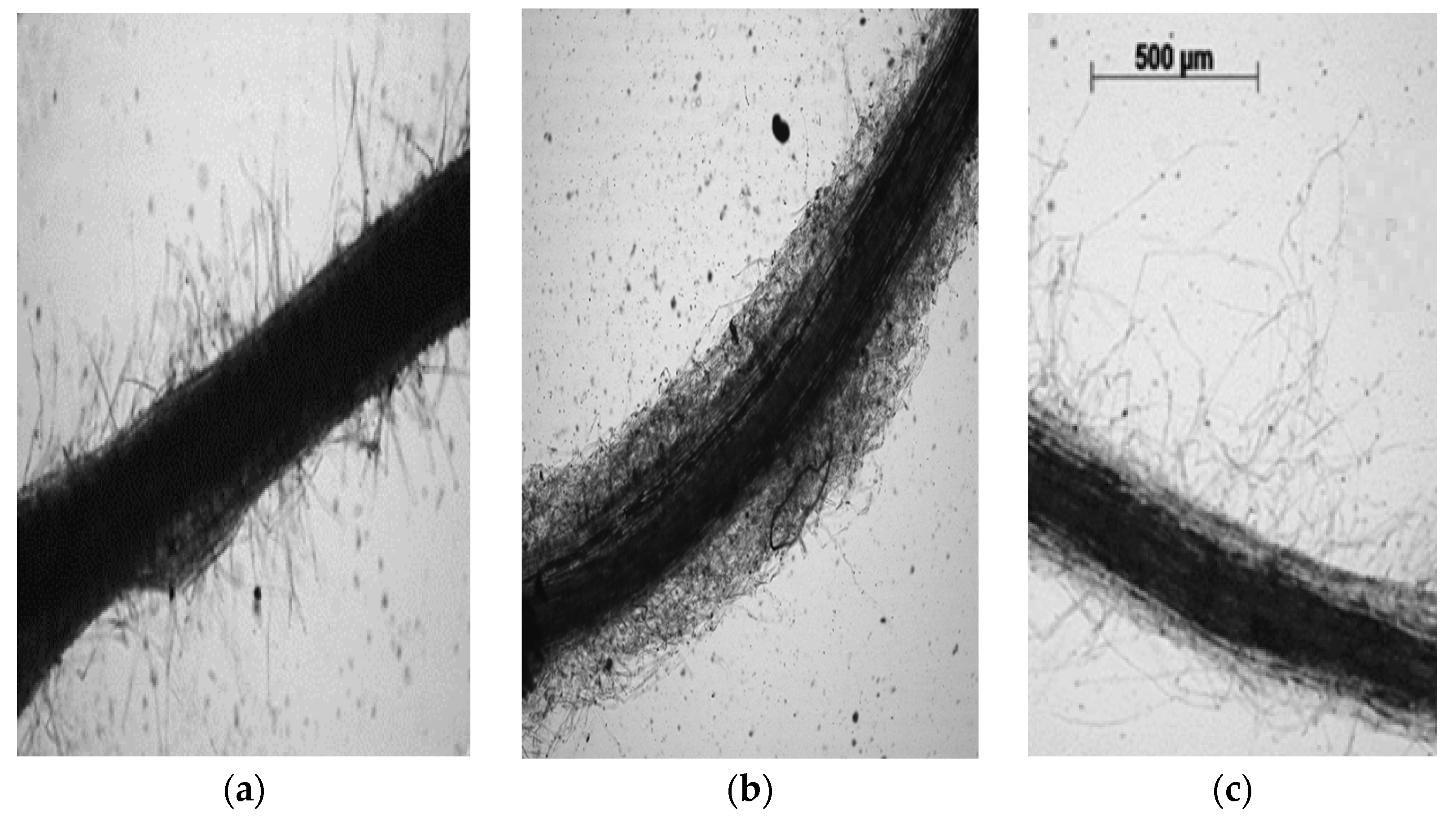 Agriculture 13 01640 g003