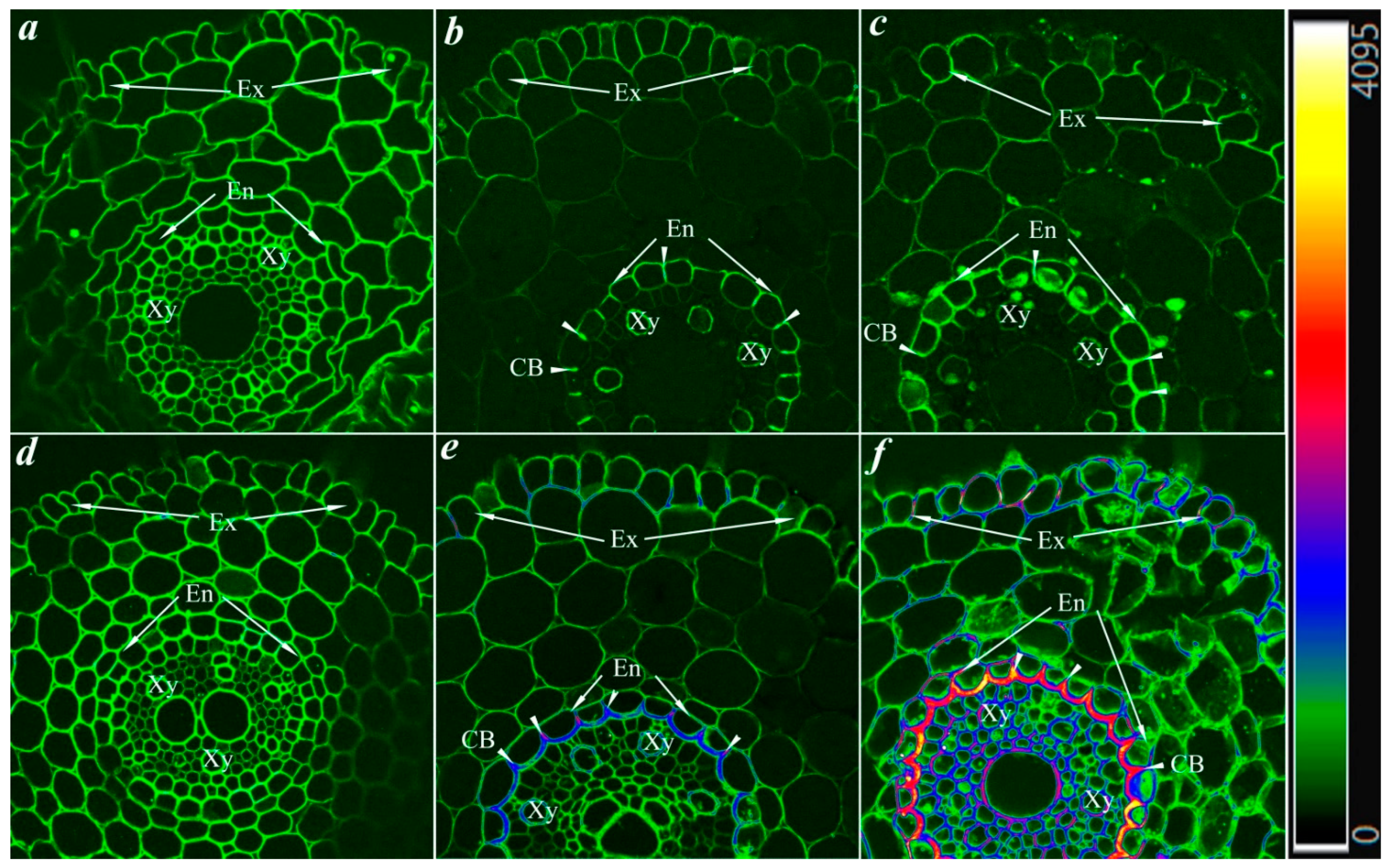 Agriculture 13 01640 g004