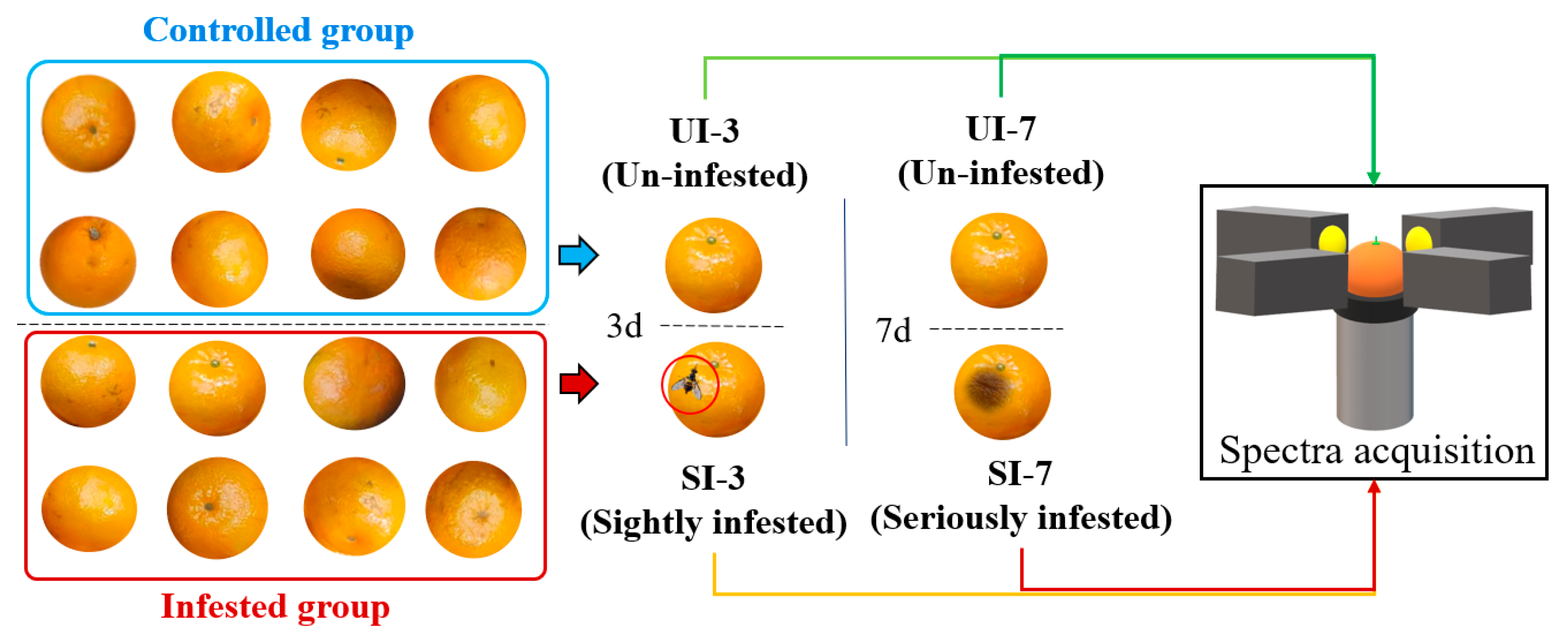 Agriculture 13 01642 g002