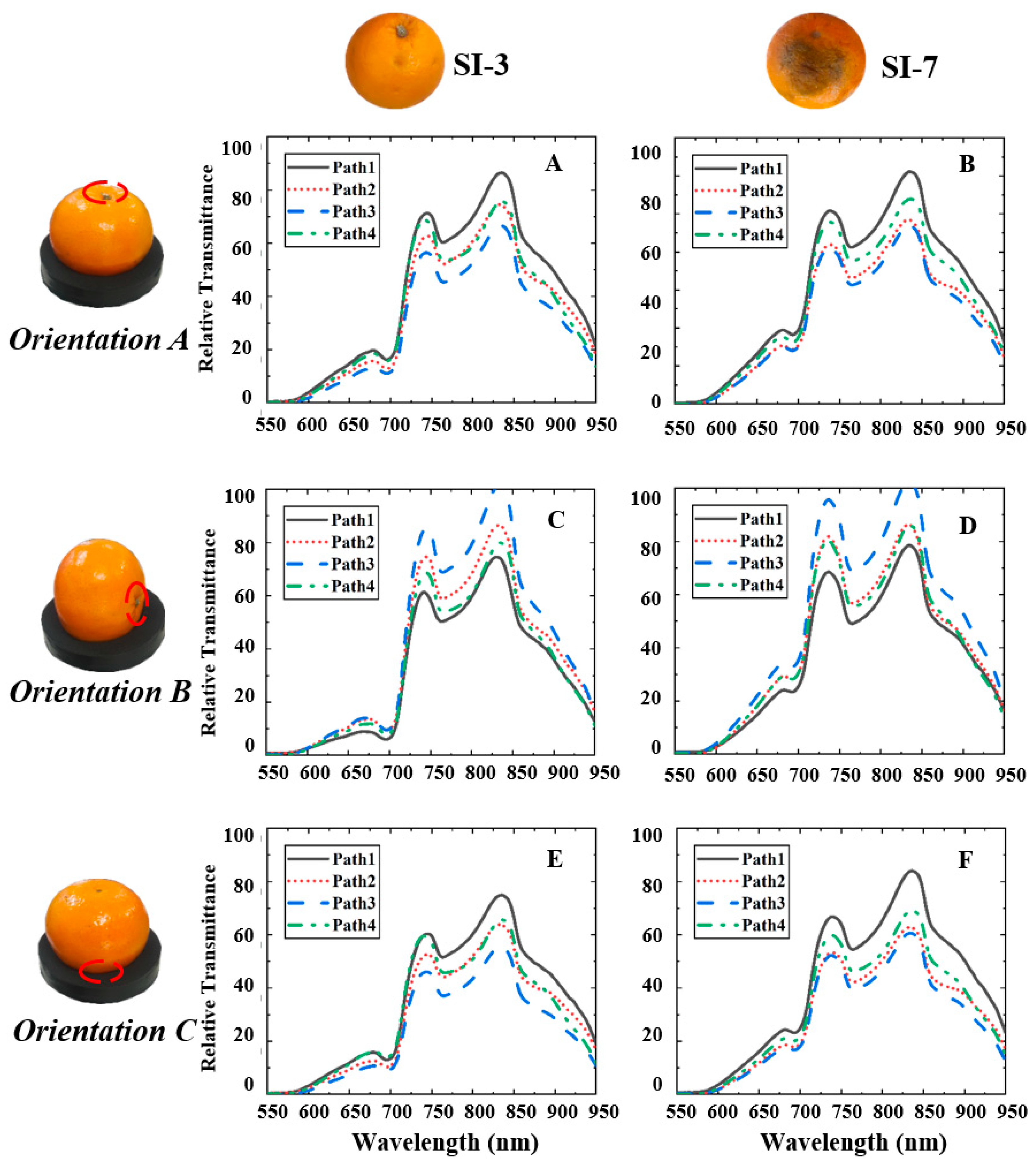 Agriculture 13 01642 g006
