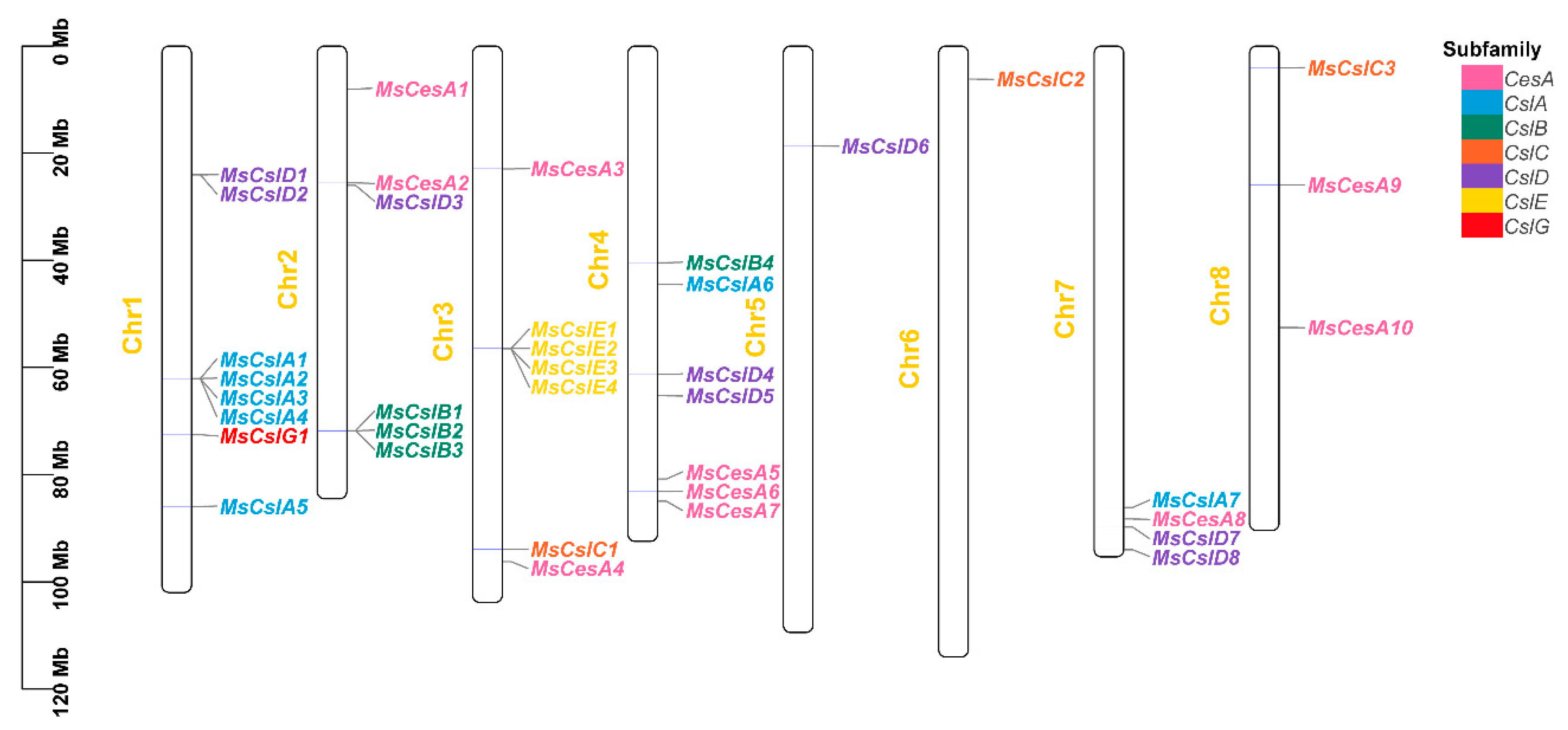Agriculture 13 01658 g001