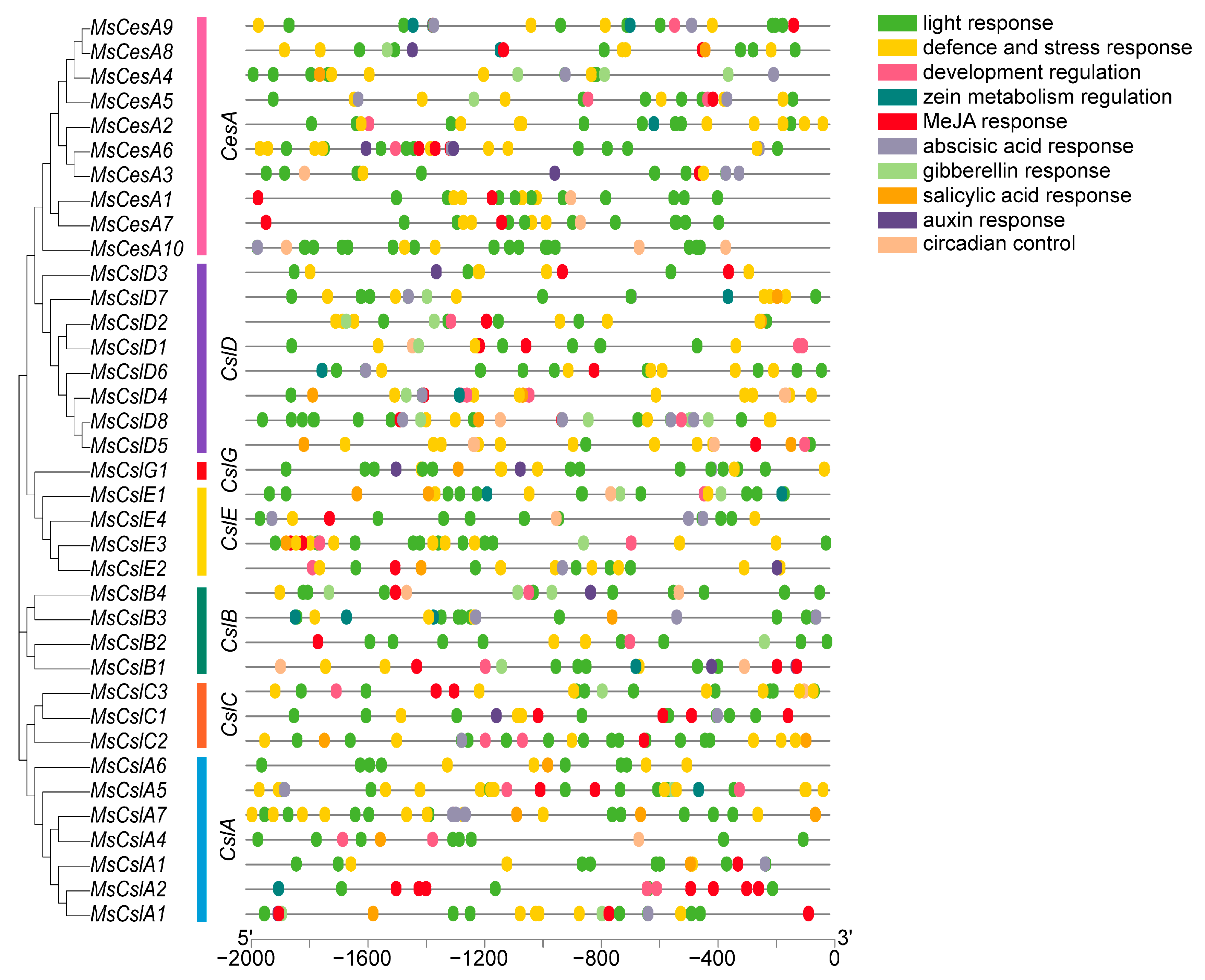 Agriculture 13 01658 g004