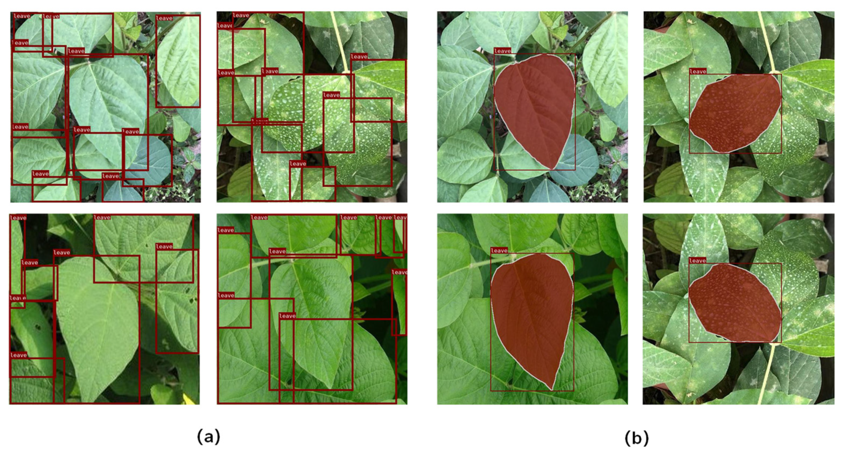Agriculture 13 01662 g002