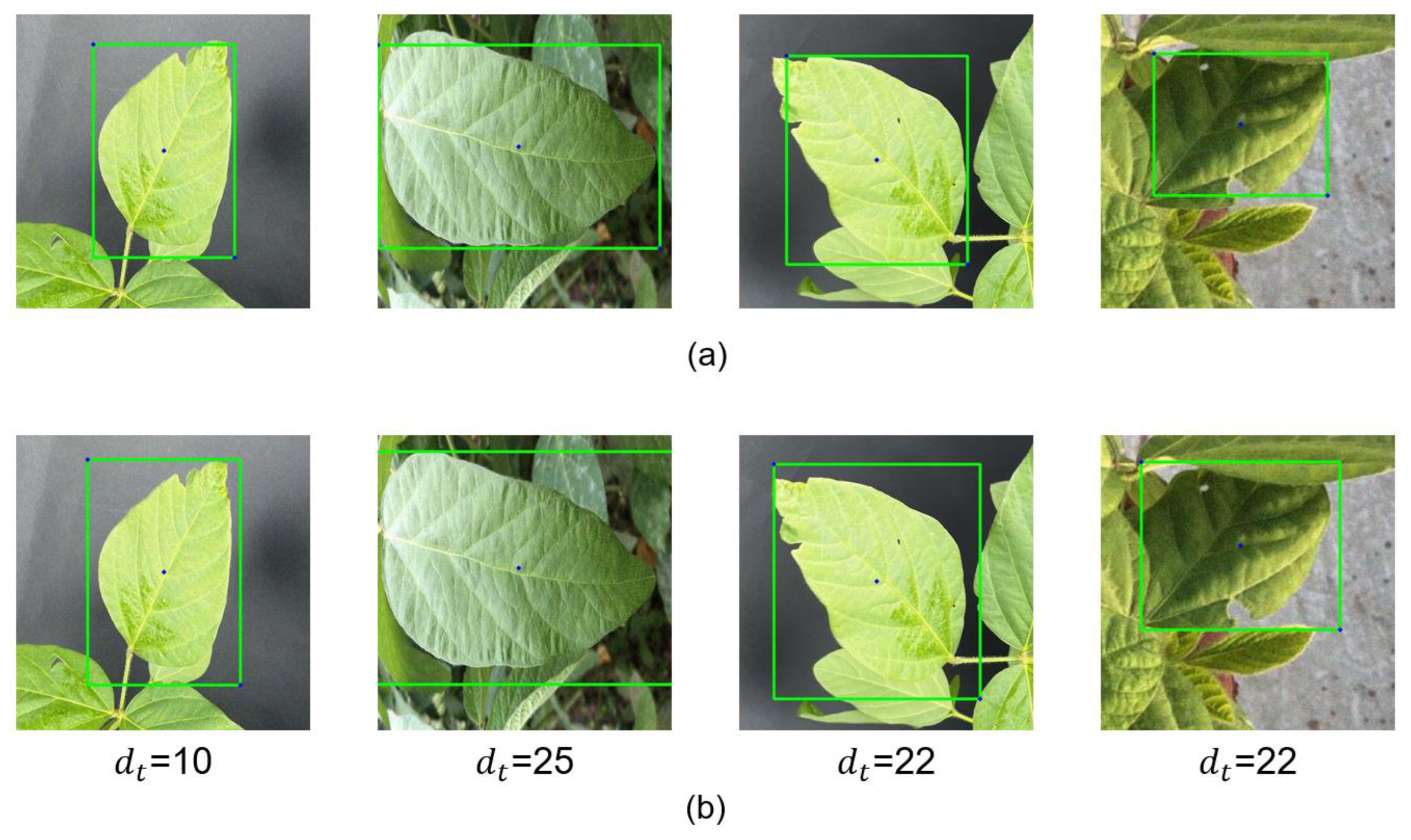 Agriculture 13 01662 g014