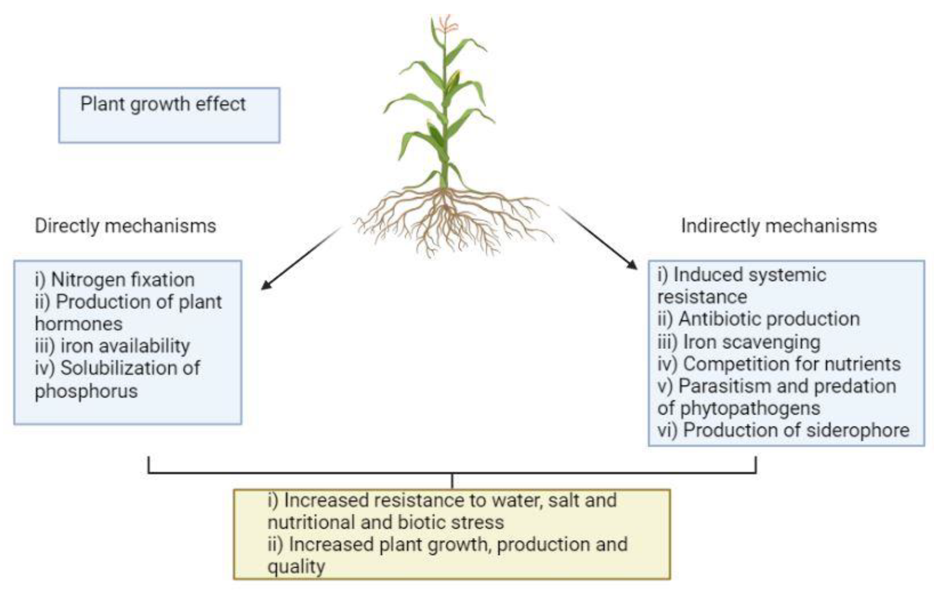Plant Producers plant-producers