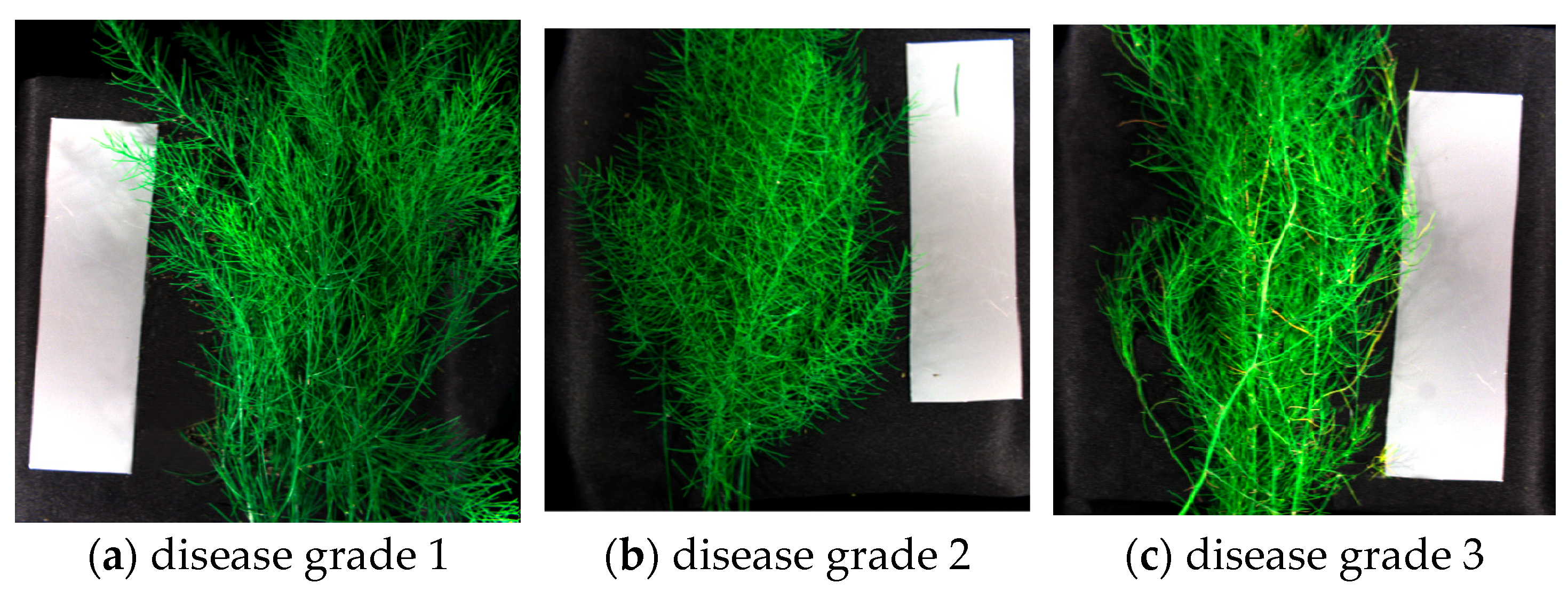 Agriculture 13 01673 g004