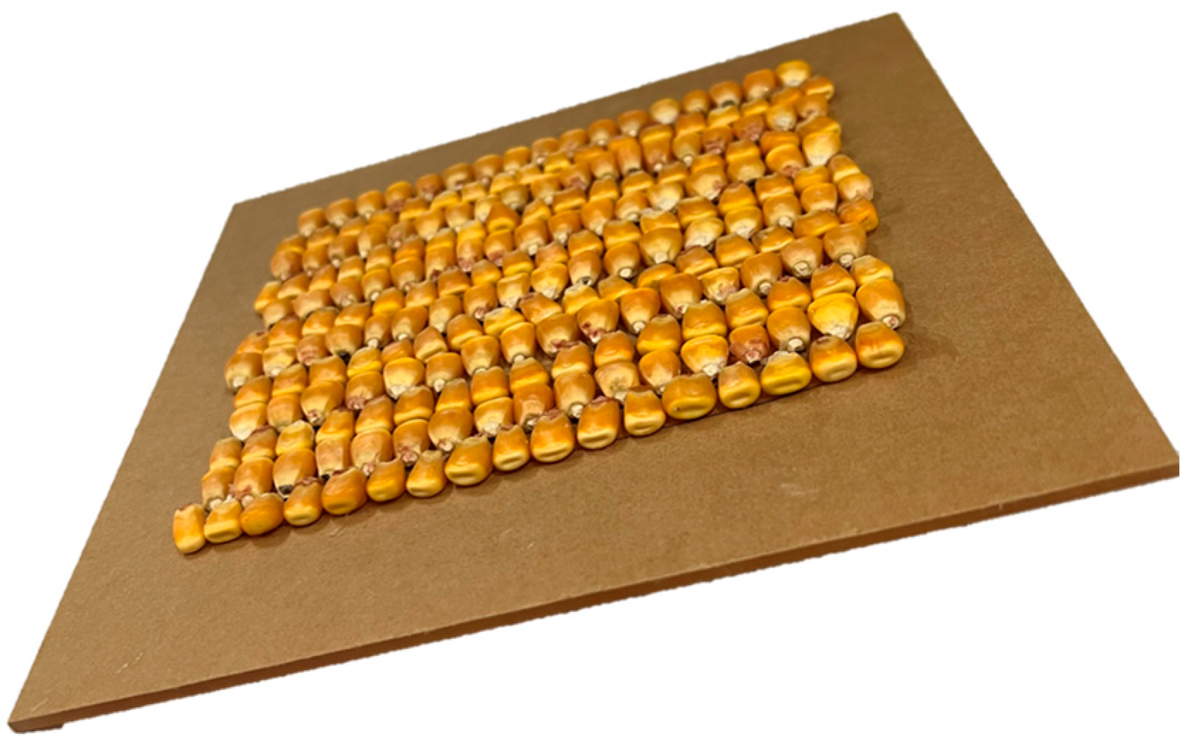 Agriculture 13 01677 g001