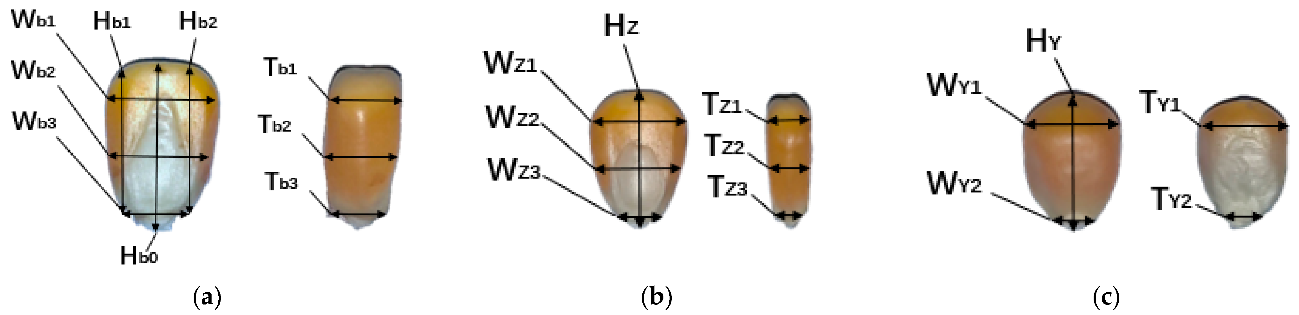 Agriculture 13 01677 g004