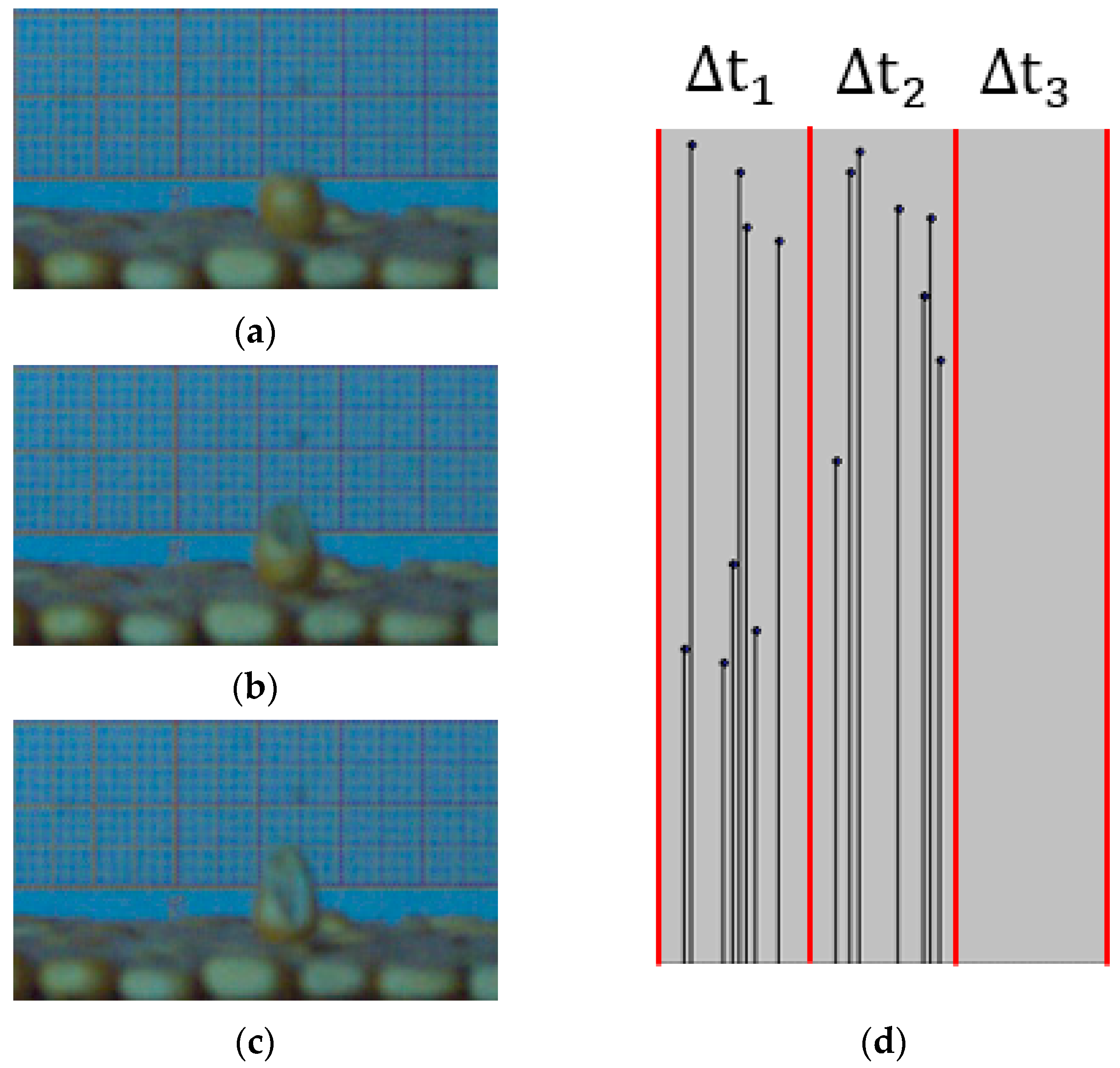 Agriculture 13 01677 g013