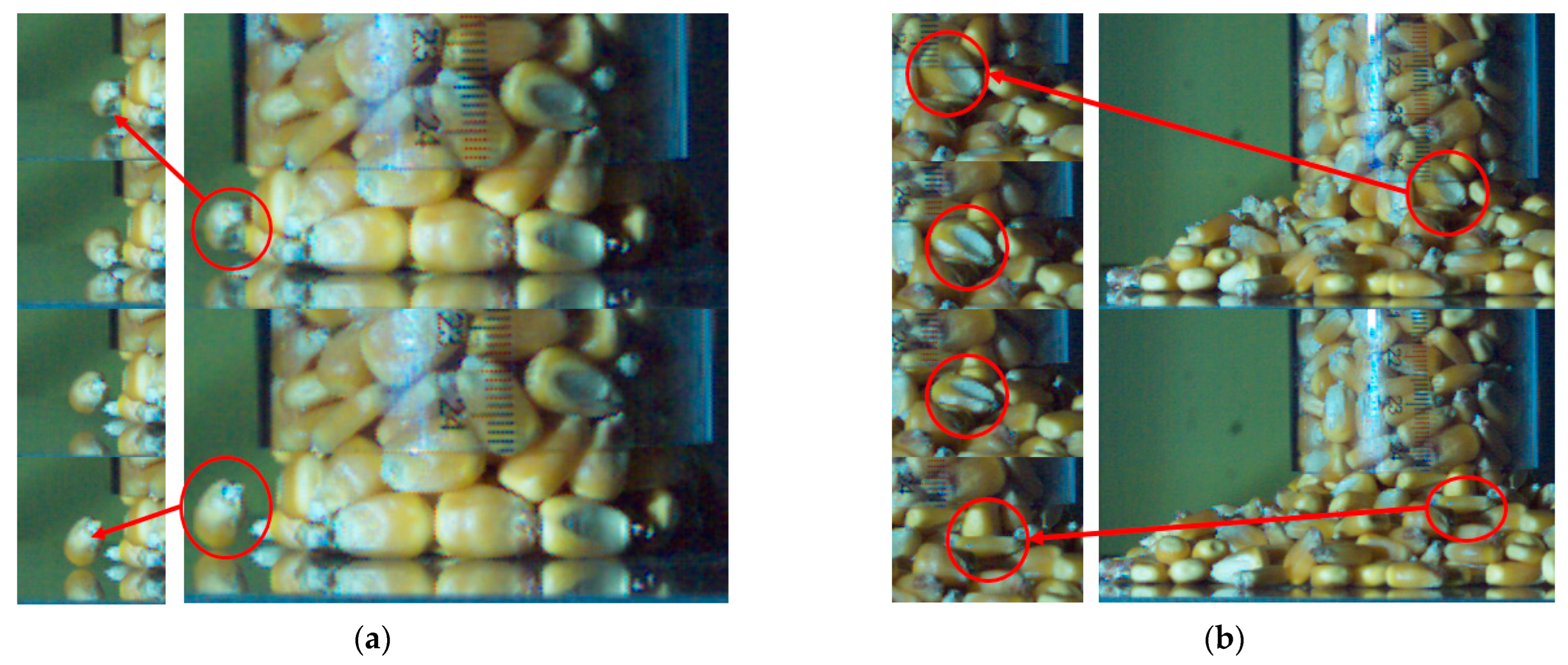 Agriculture 13 01677 g019