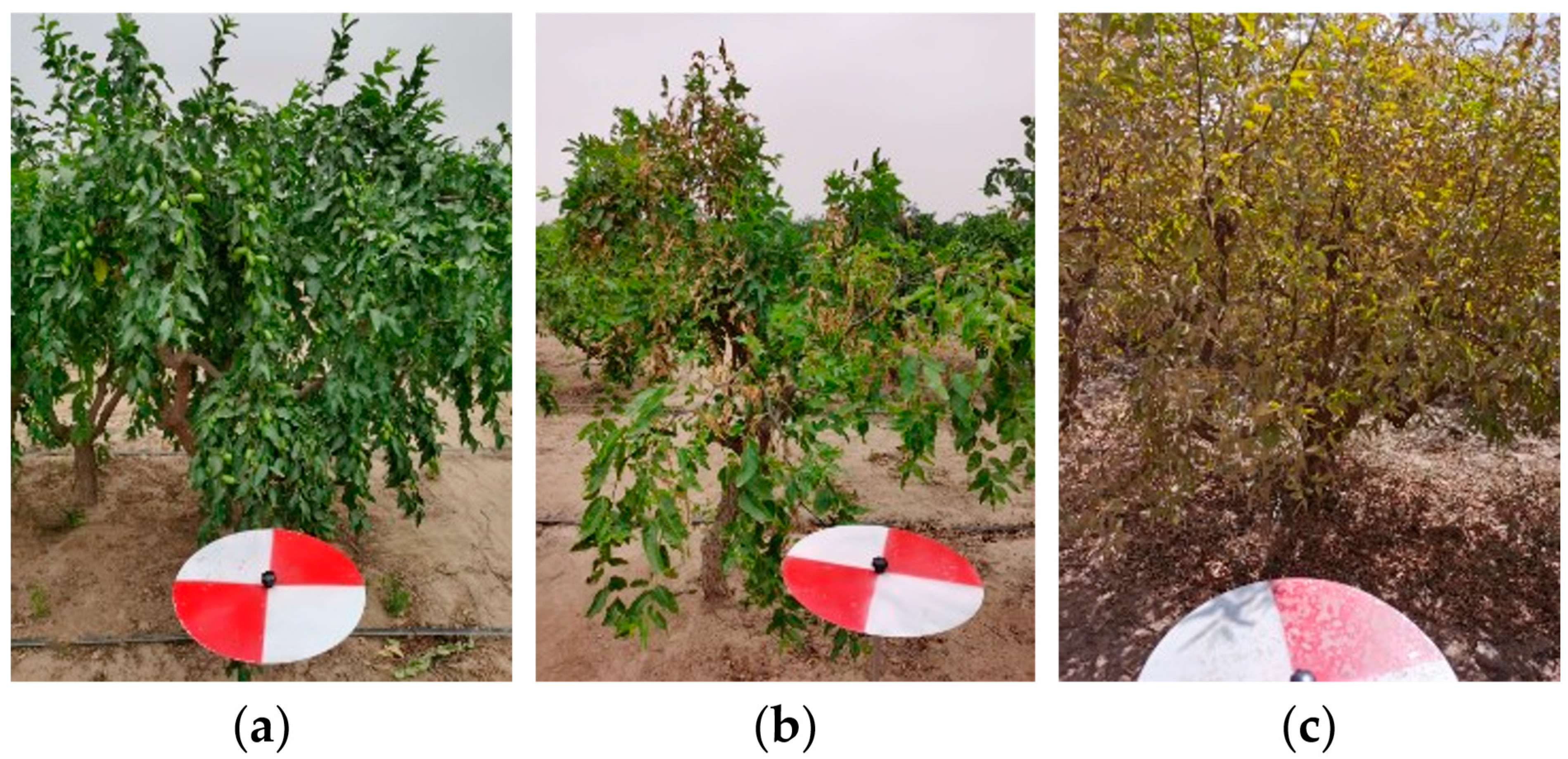 Agriculture 13 01679 g002