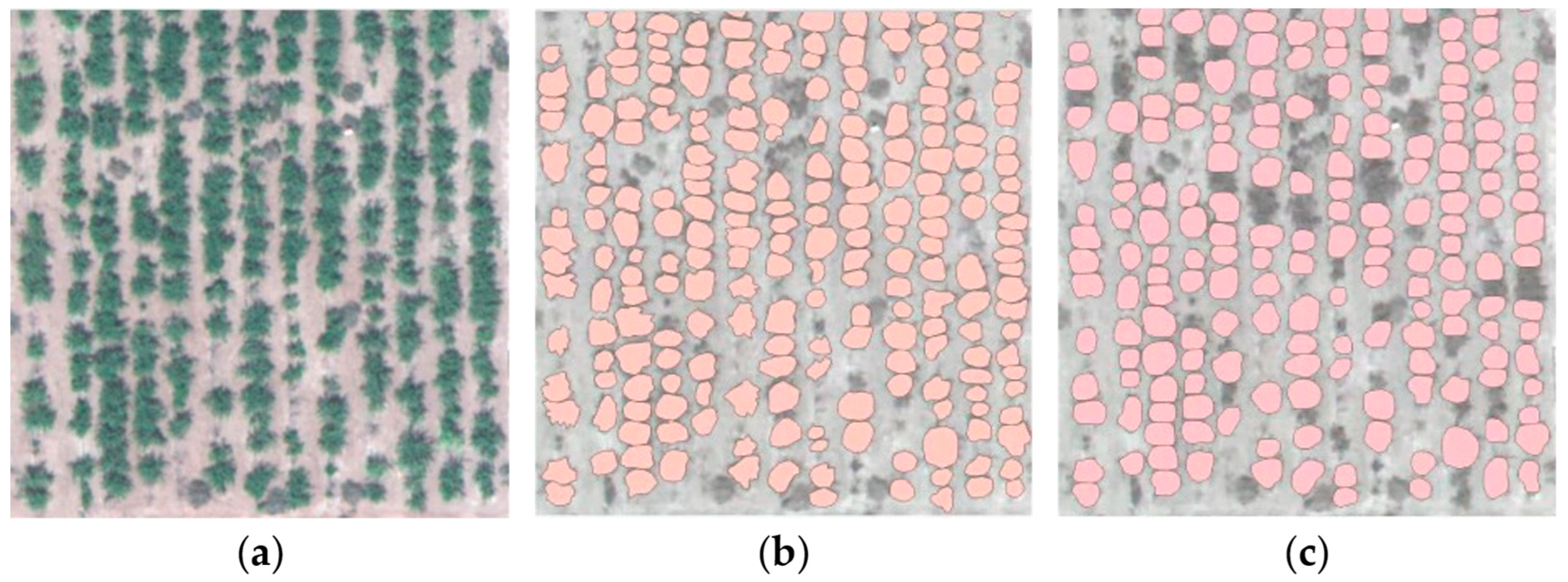 Agriculture 13 01679 g009