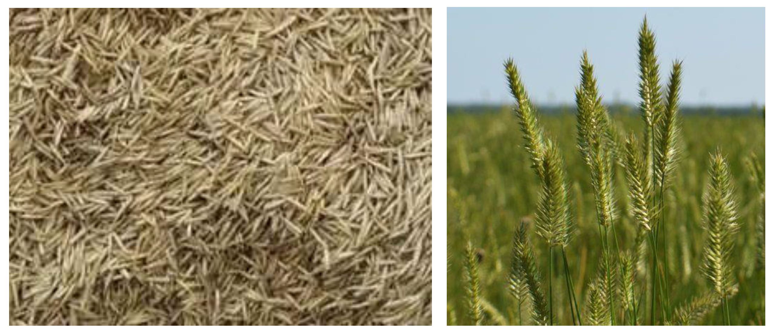 Agriculture 13 01687 g007