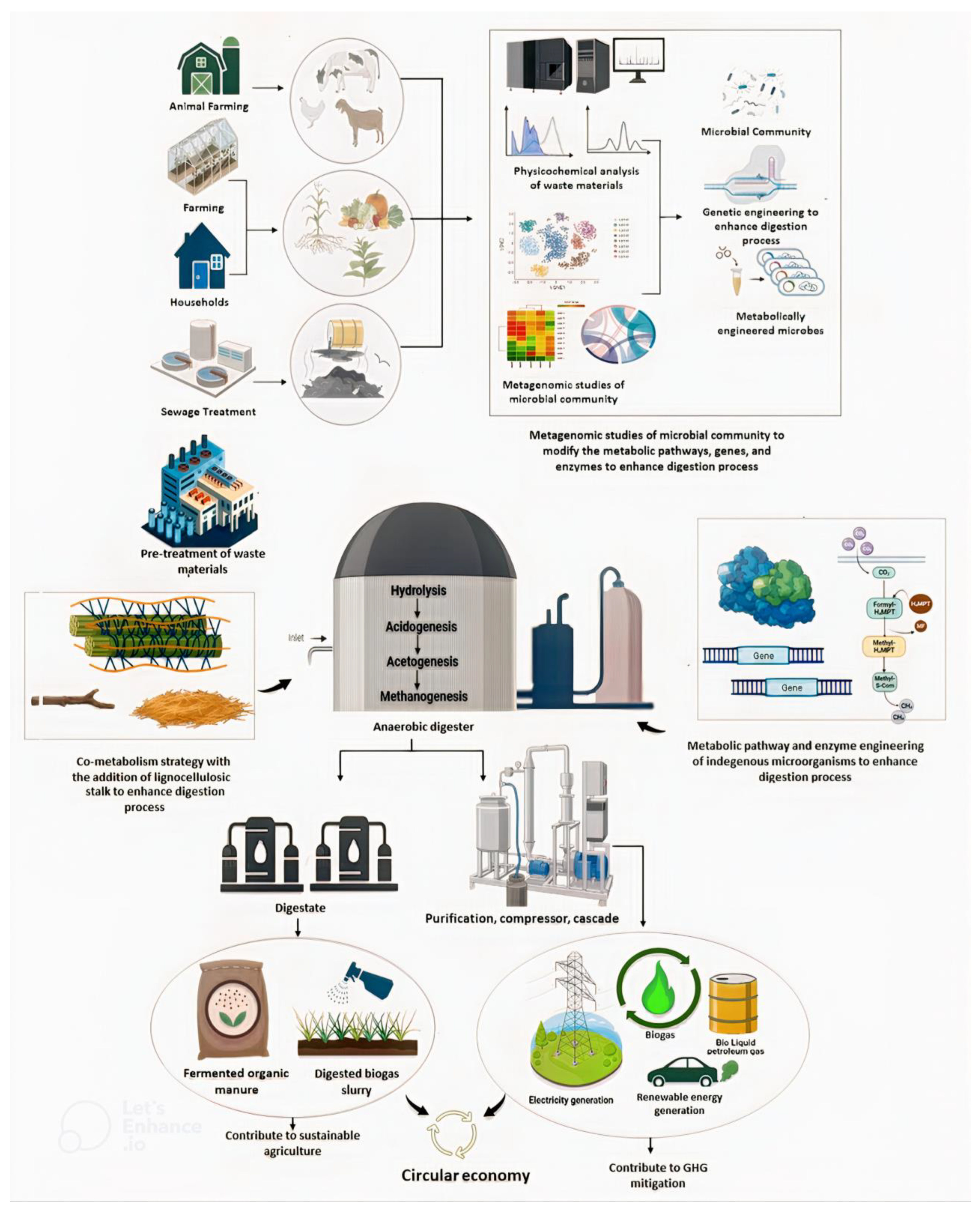 Effect of propionate-cultured sludge augmentation on methane