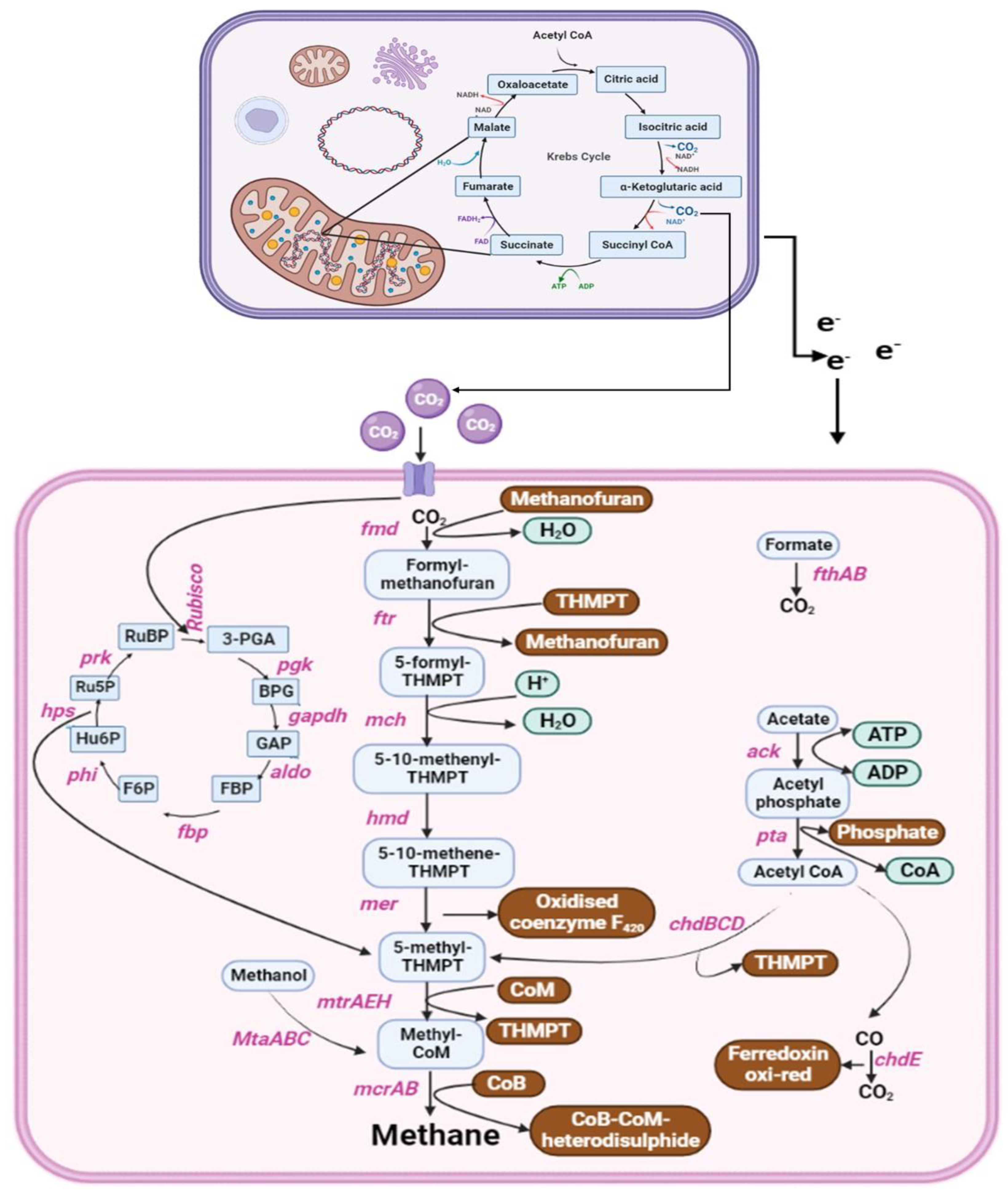 Agriculture 13 01689 g003 Agriculture 13 01689 g003