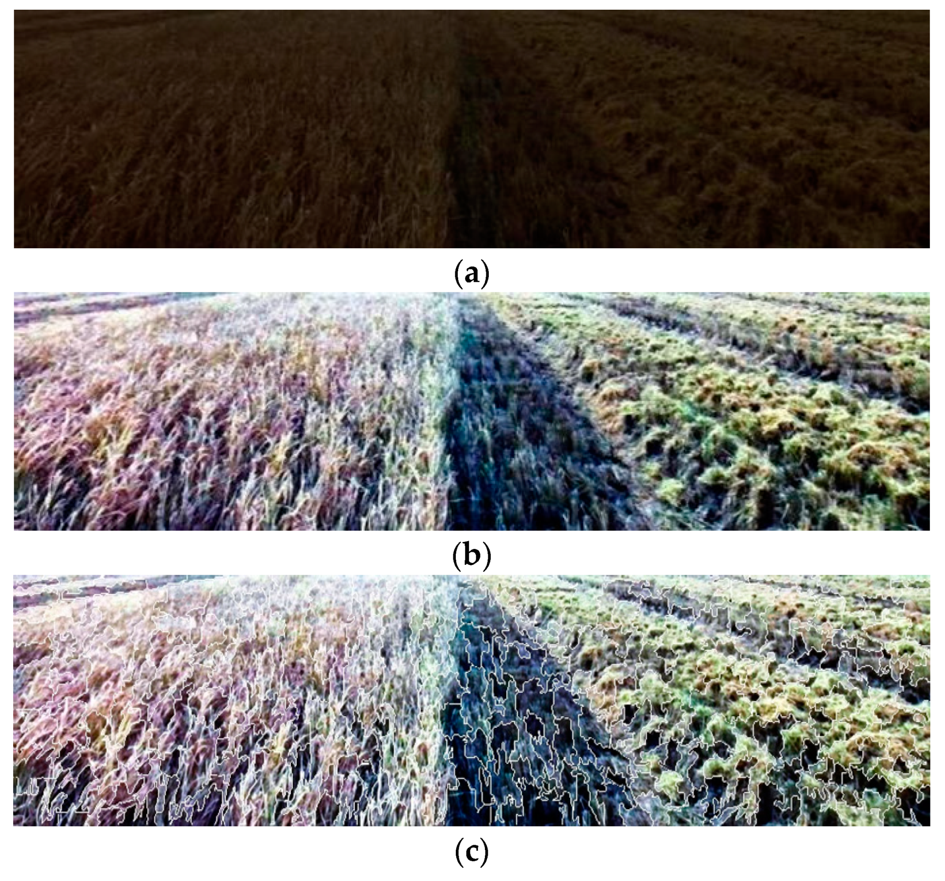 Agriculture 13 01700 g004