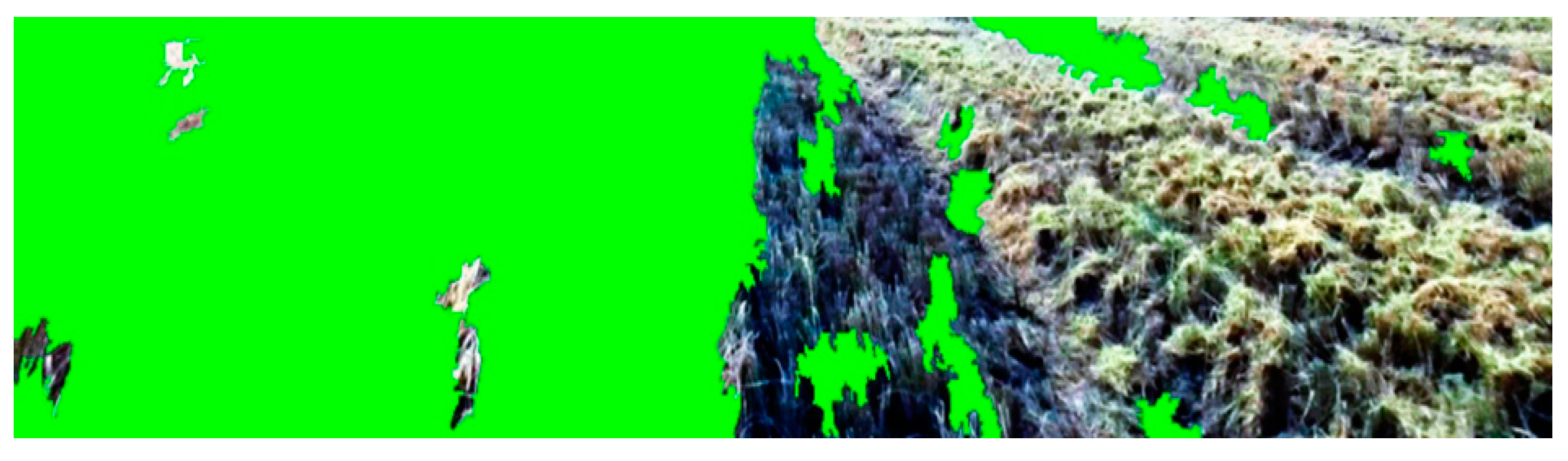 Agriculture 13 01700 g007