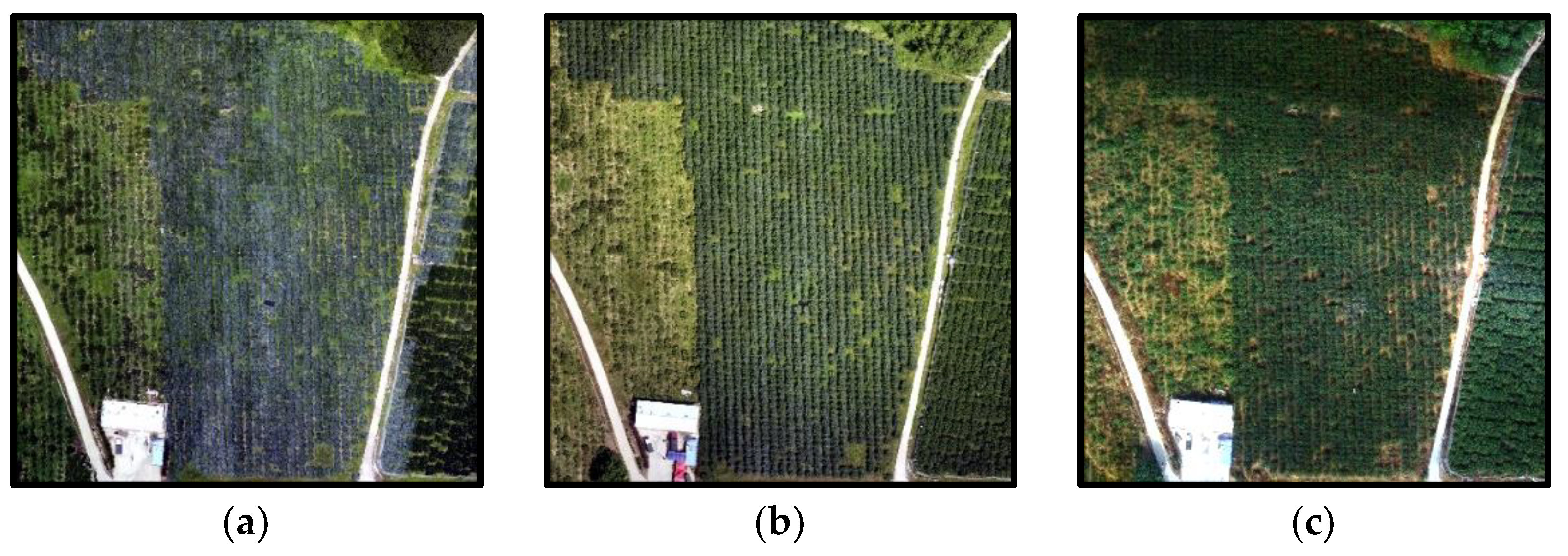 Agriculture 13 01701 g002