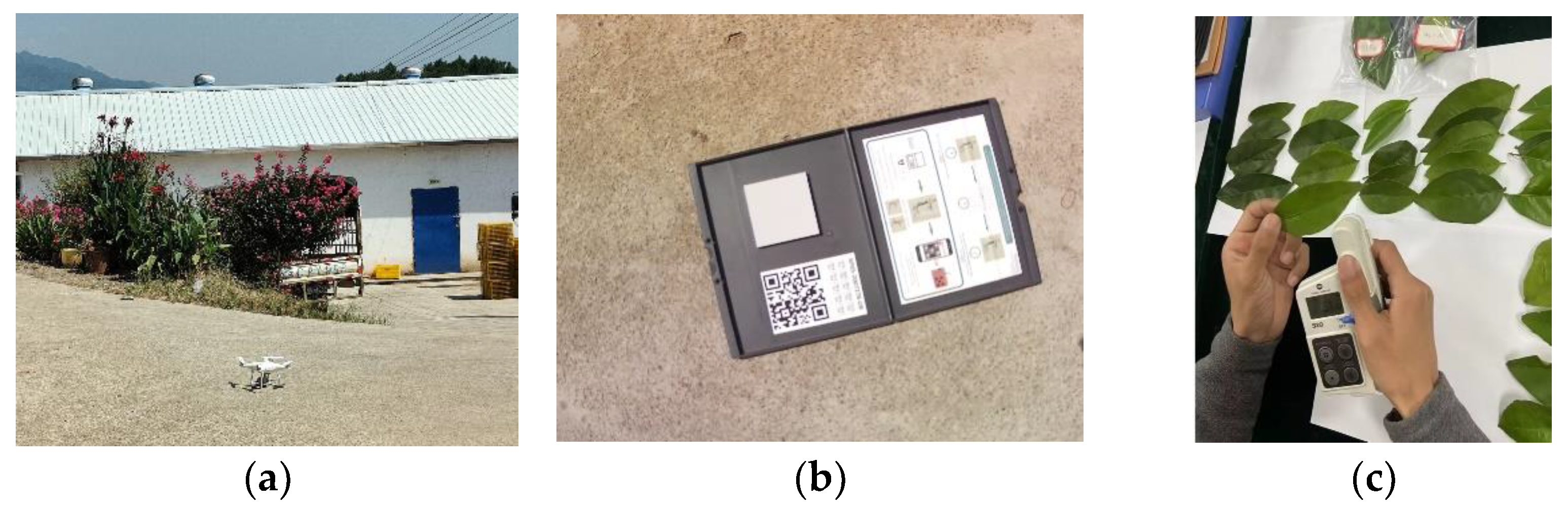 Agriculture 13 01701 g003