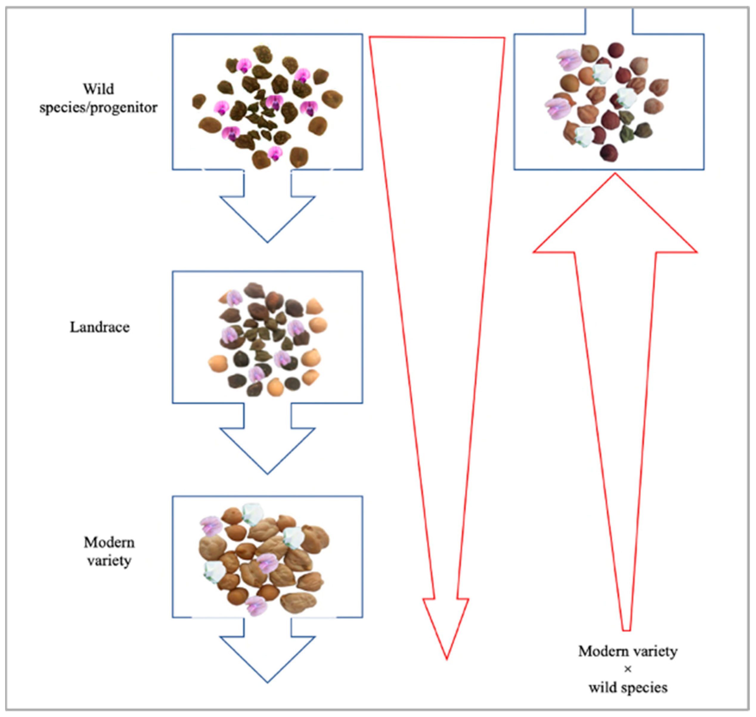 Agriculture 13 01721 g002 Agriculture 13 01721 g002