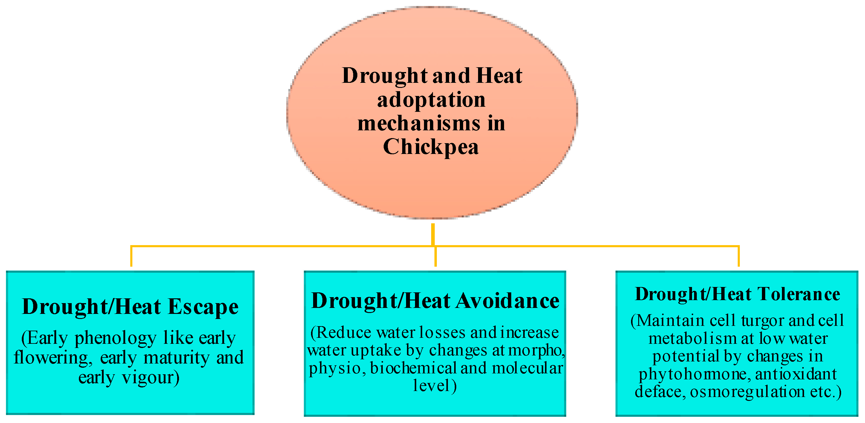 Agriculture 13 01721 g004 Agriculture 13 01721 g004
