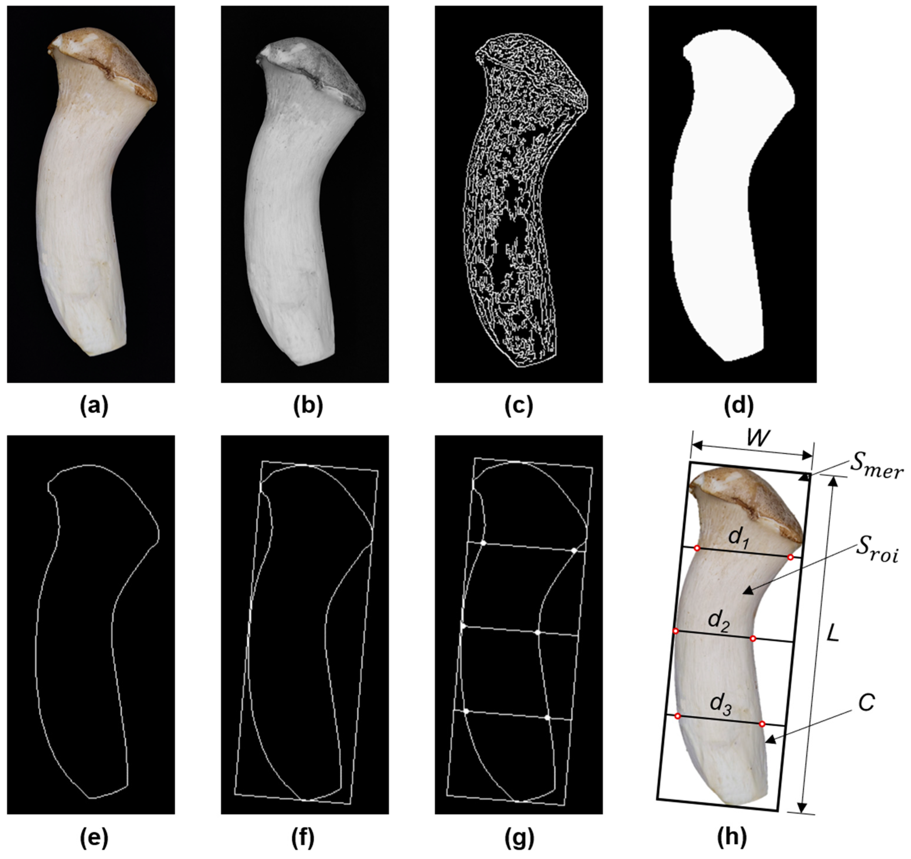 Agriculture 13 01728 g001