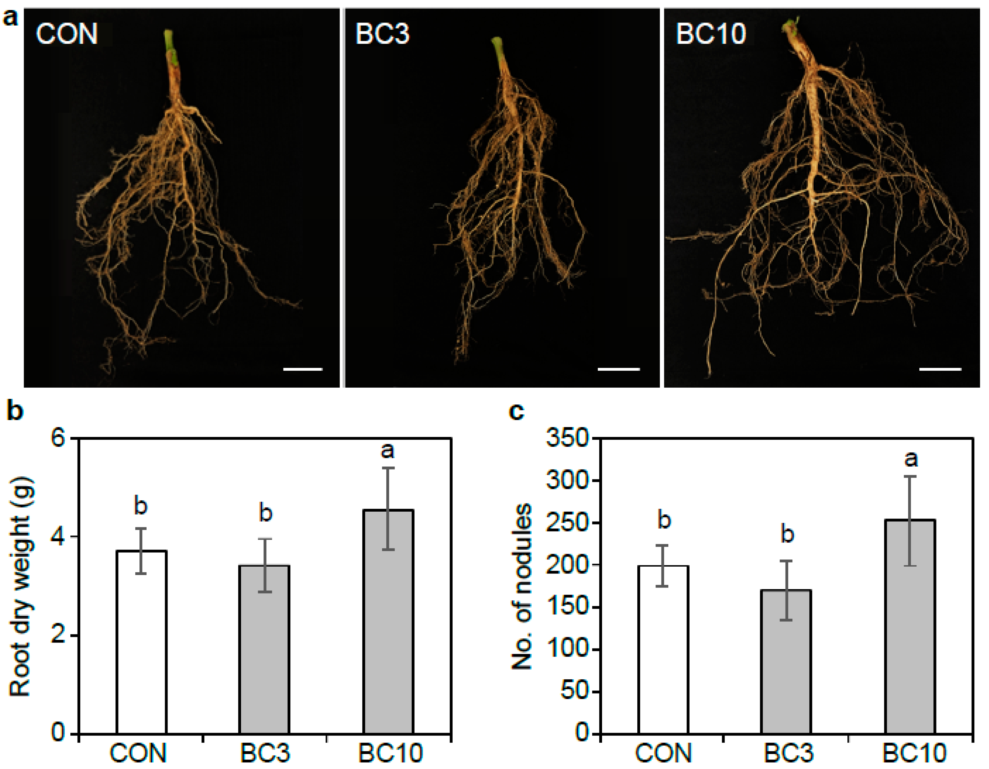Agriculture 13 01738 g003
