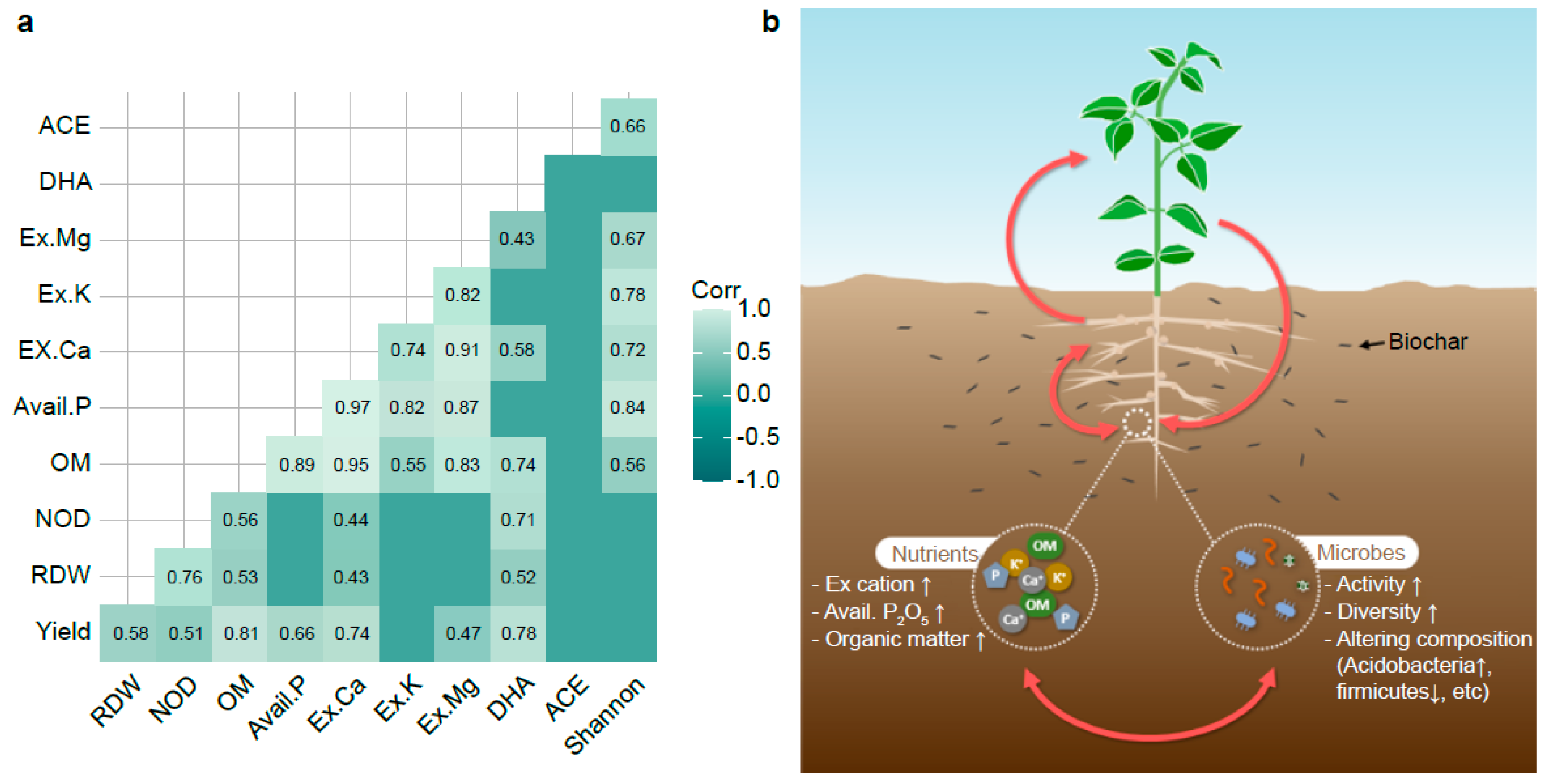 Agriculture 13 01738 g004