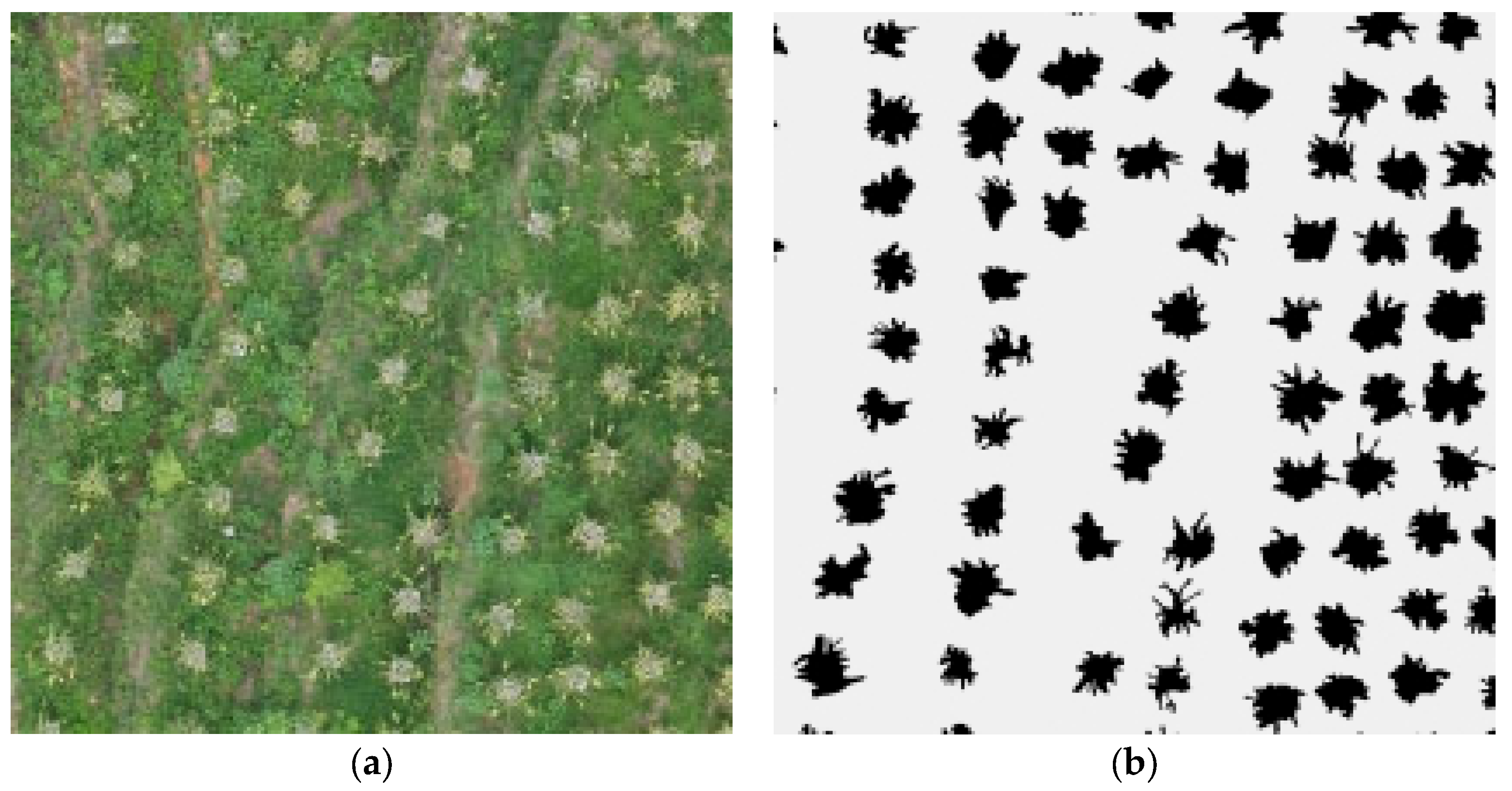 Agriculture 13 01742 g011