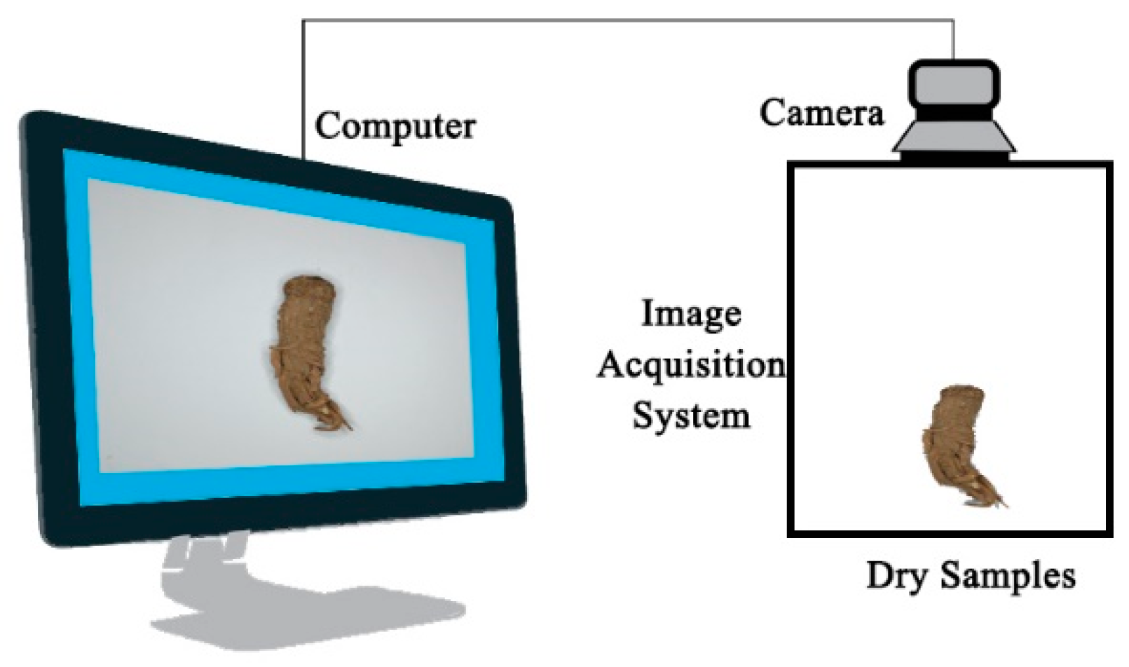 Agriculture 13 01744 g002
