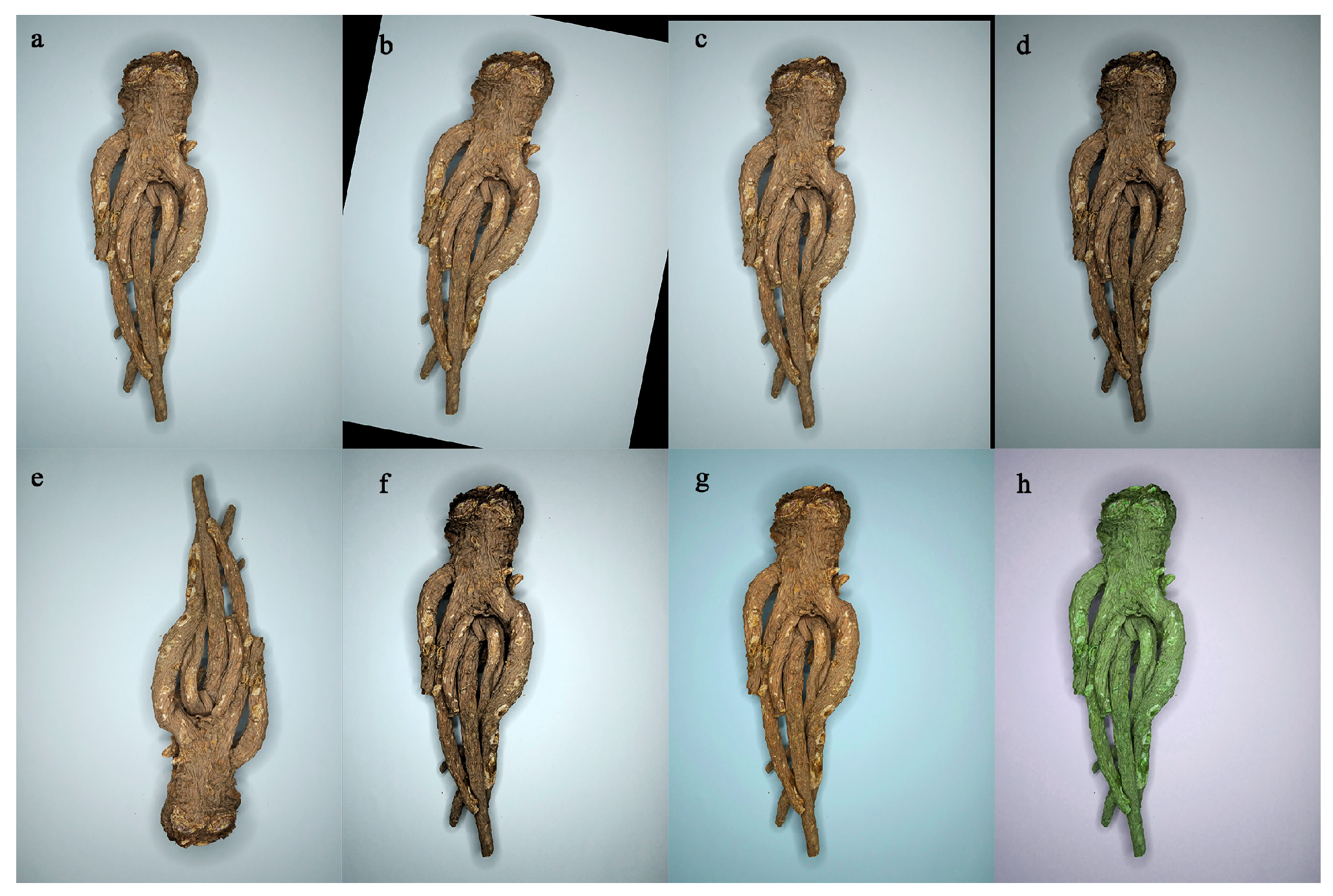 Agriculture 13 01744 g003